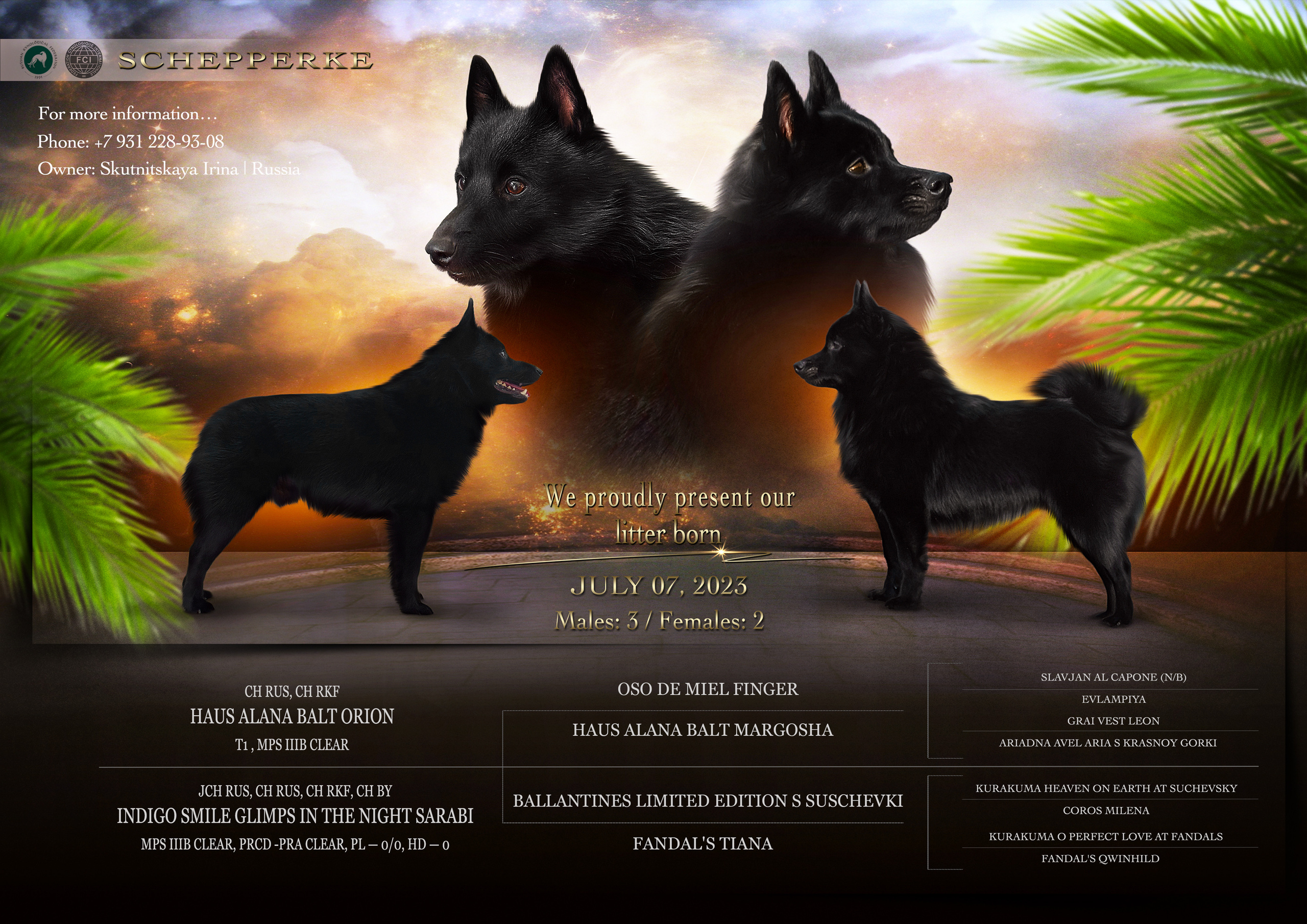 Animal presentation. Фотограф