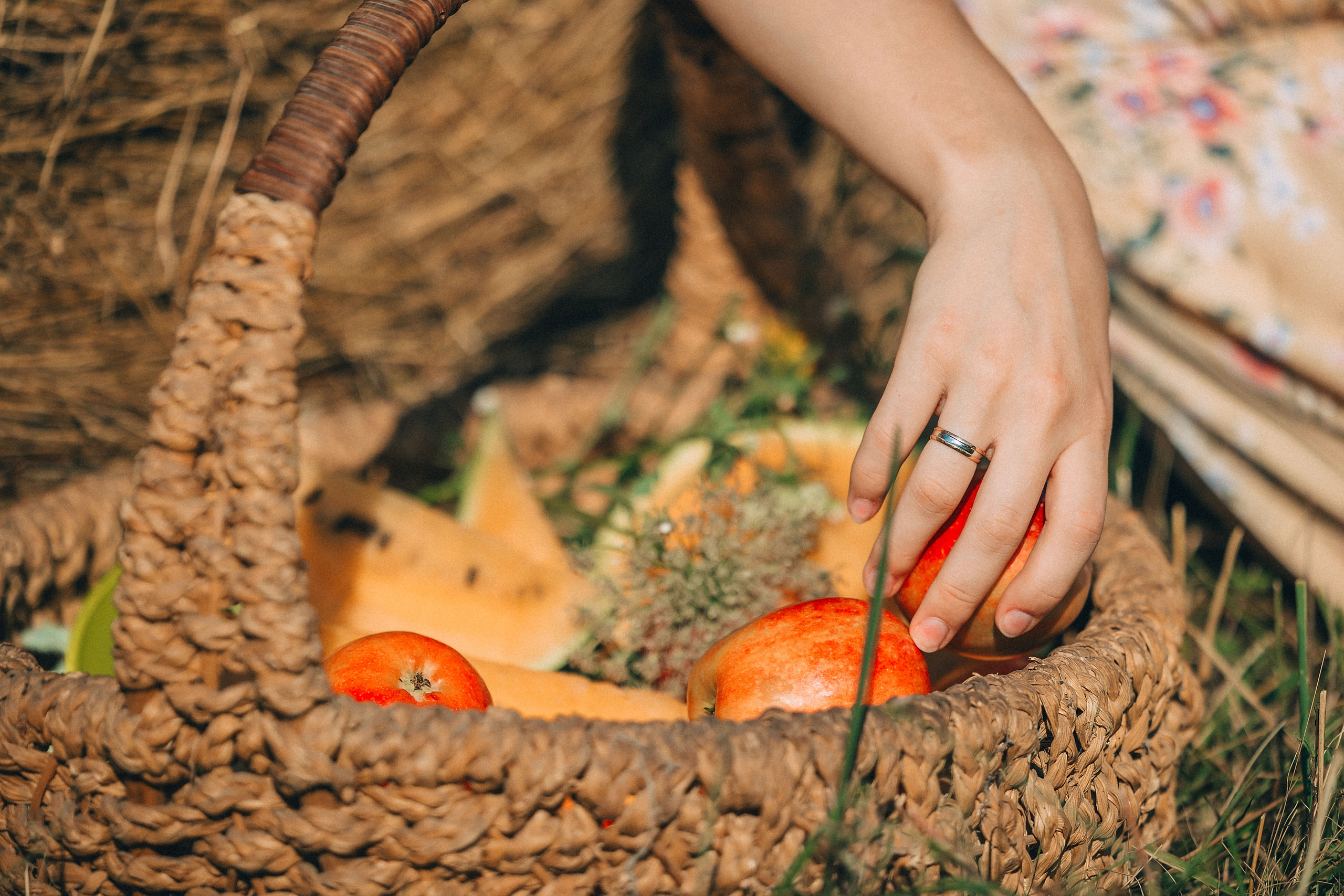 В поиске ромашкового поля…. Фотограф