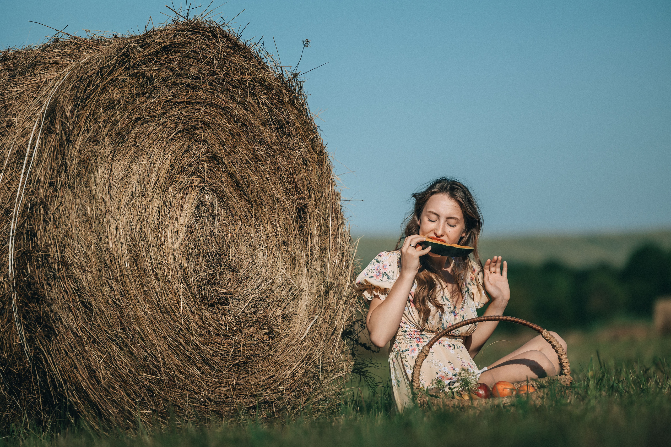 В поиске ромашкового поля…. Фотограф