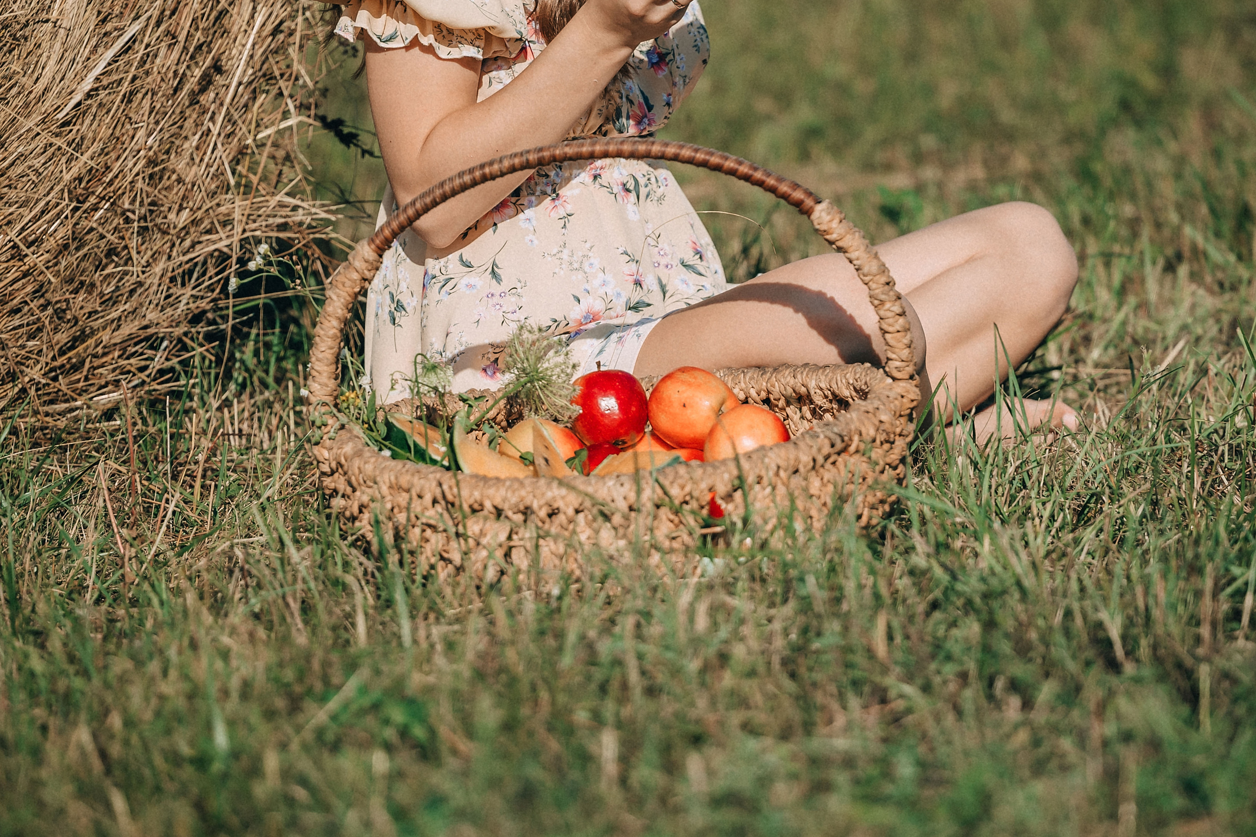 В поиске ромашкового поля…. Фотограф