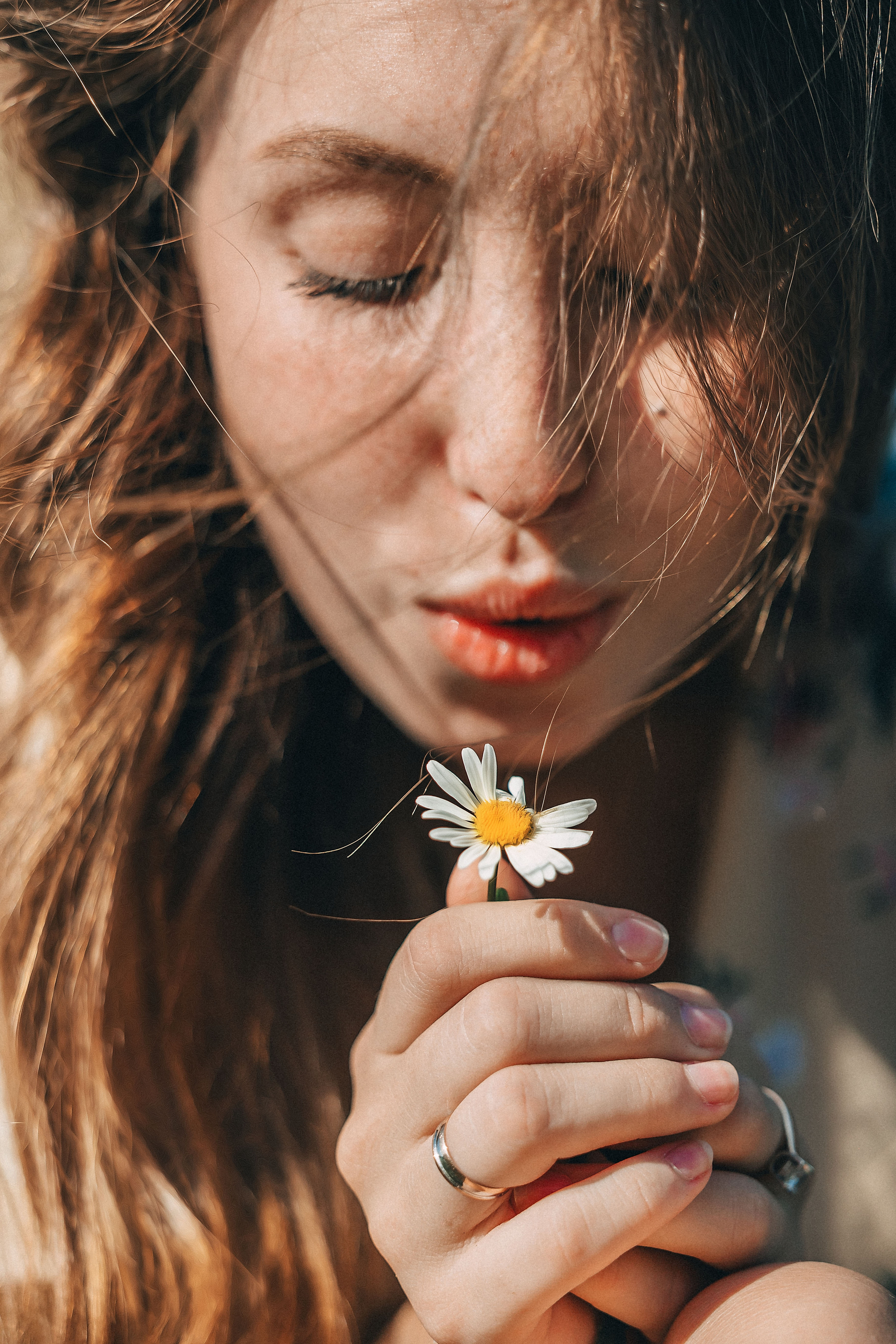 В поиске ромашкового поля…. Фотограф