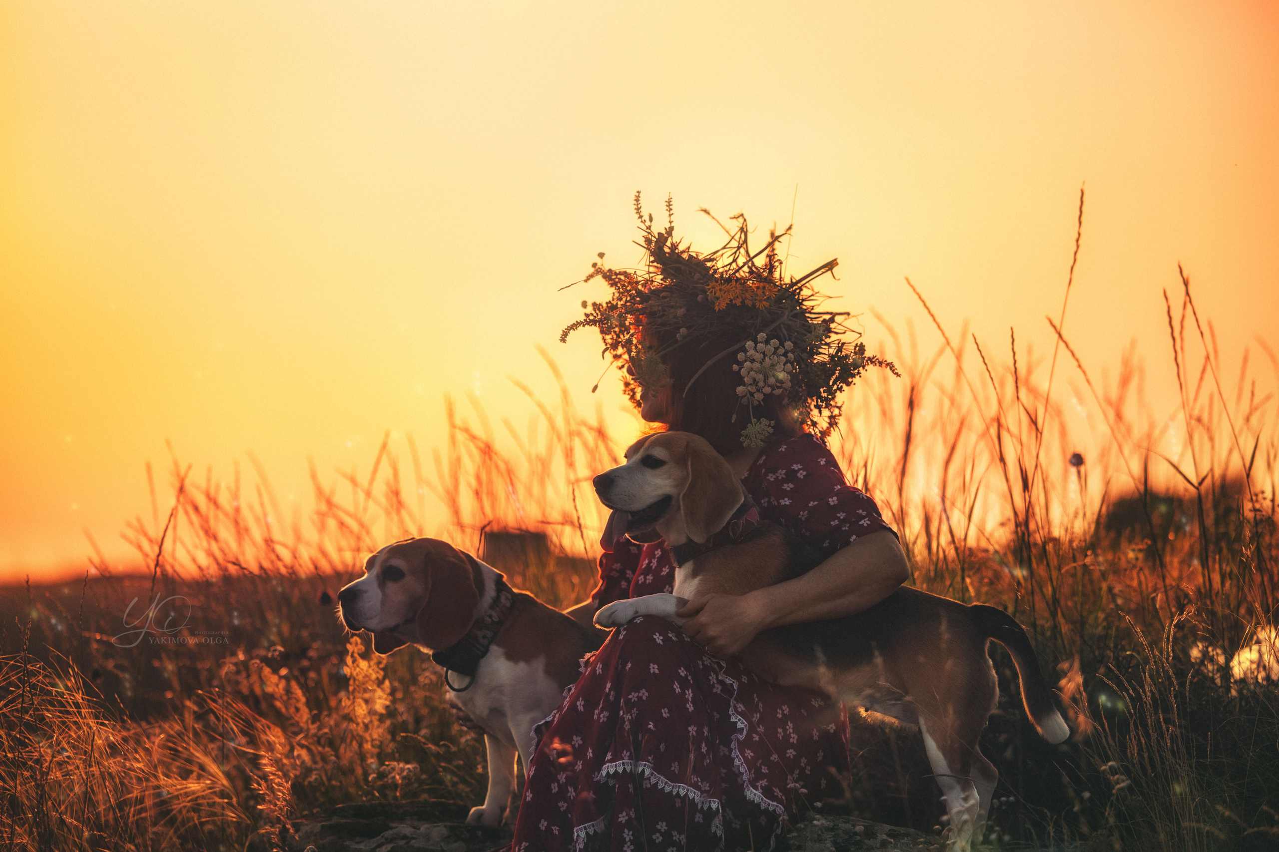 Вечер с Анной. Фотограф