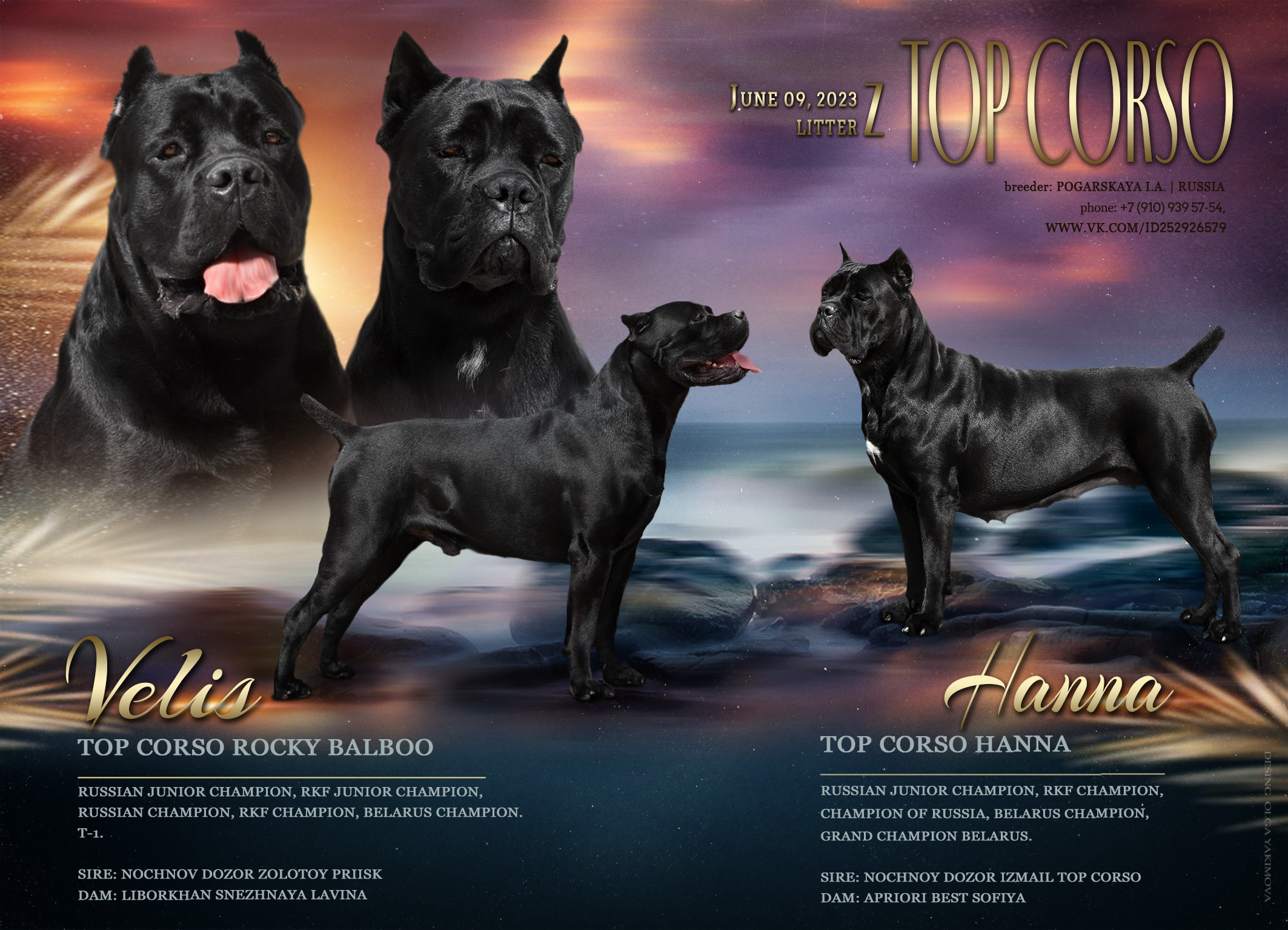 Animal presentation. Фотограф