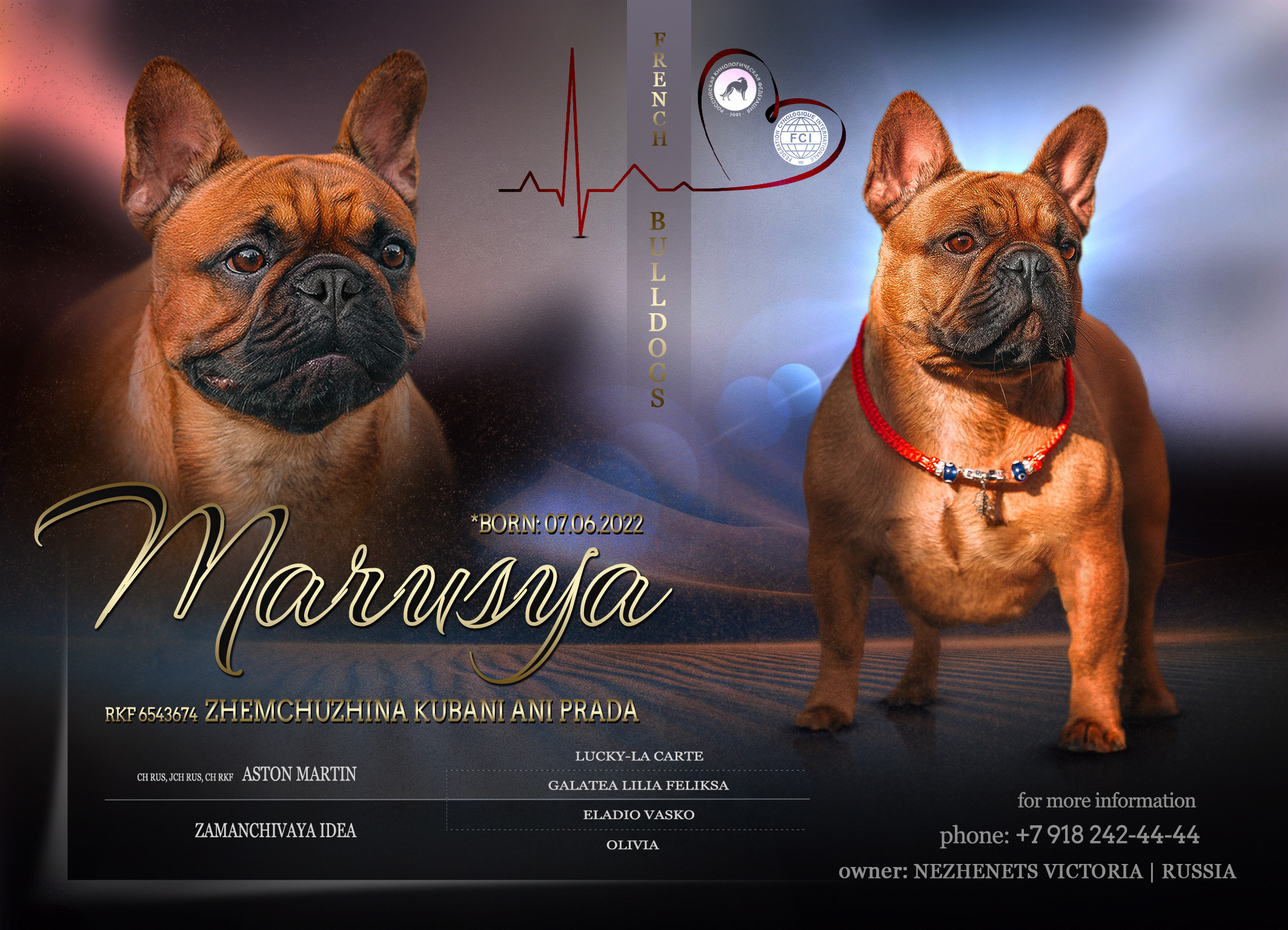 Animal presentation. Фотограф