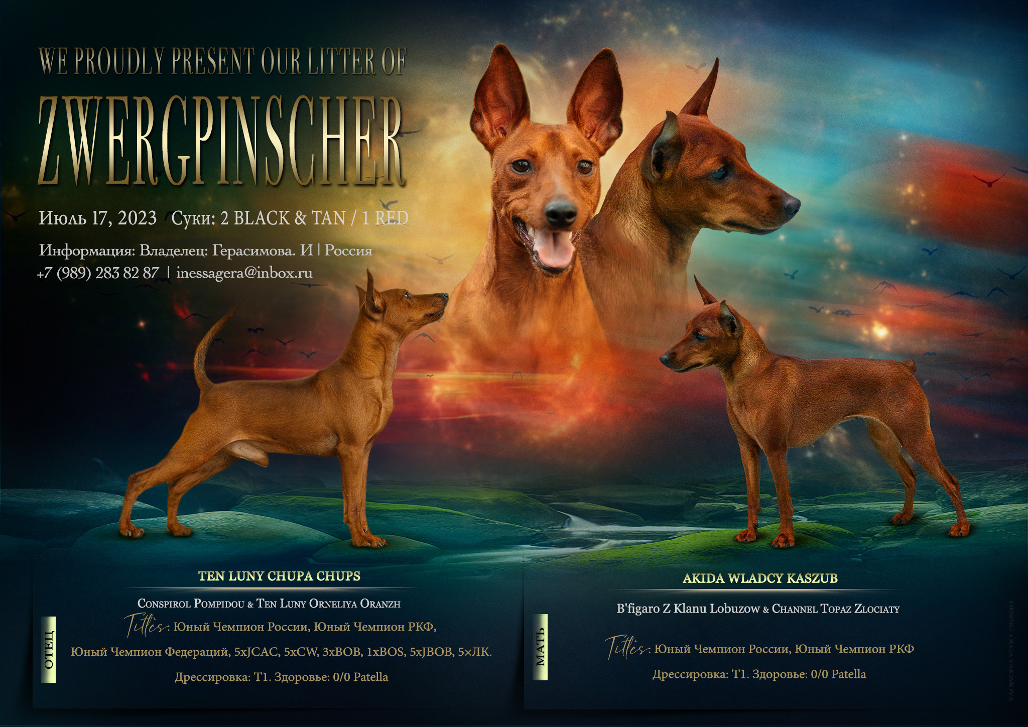 Animal presentation. Фотограф