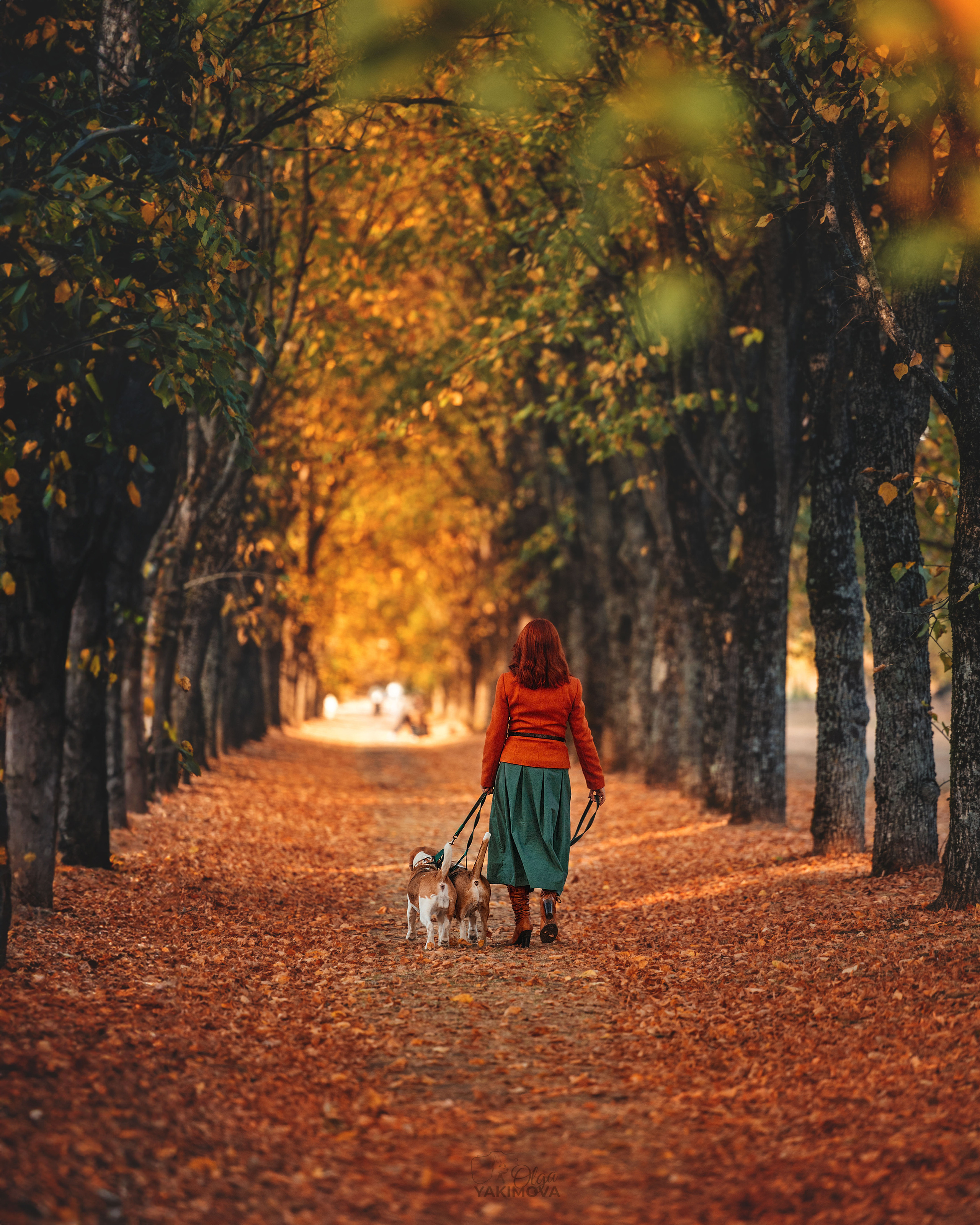 АННА И ЕЕ ХВОСТИКИ. Фотограф
