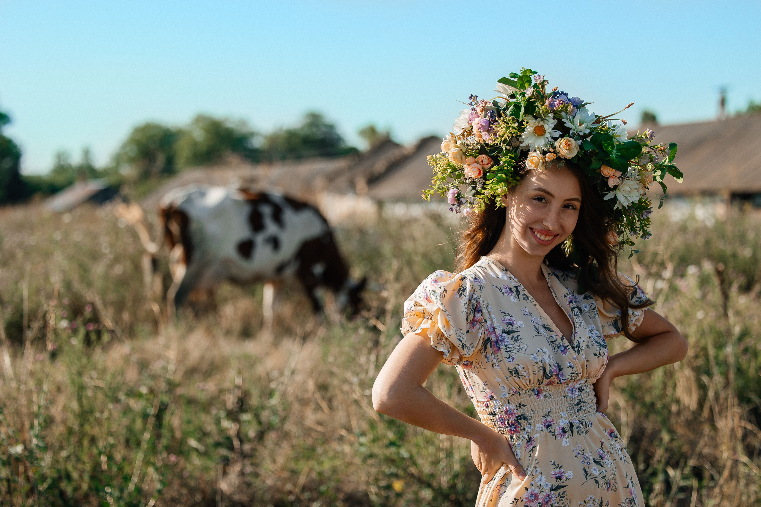 В поиске ромашкового поля…. Фотограф