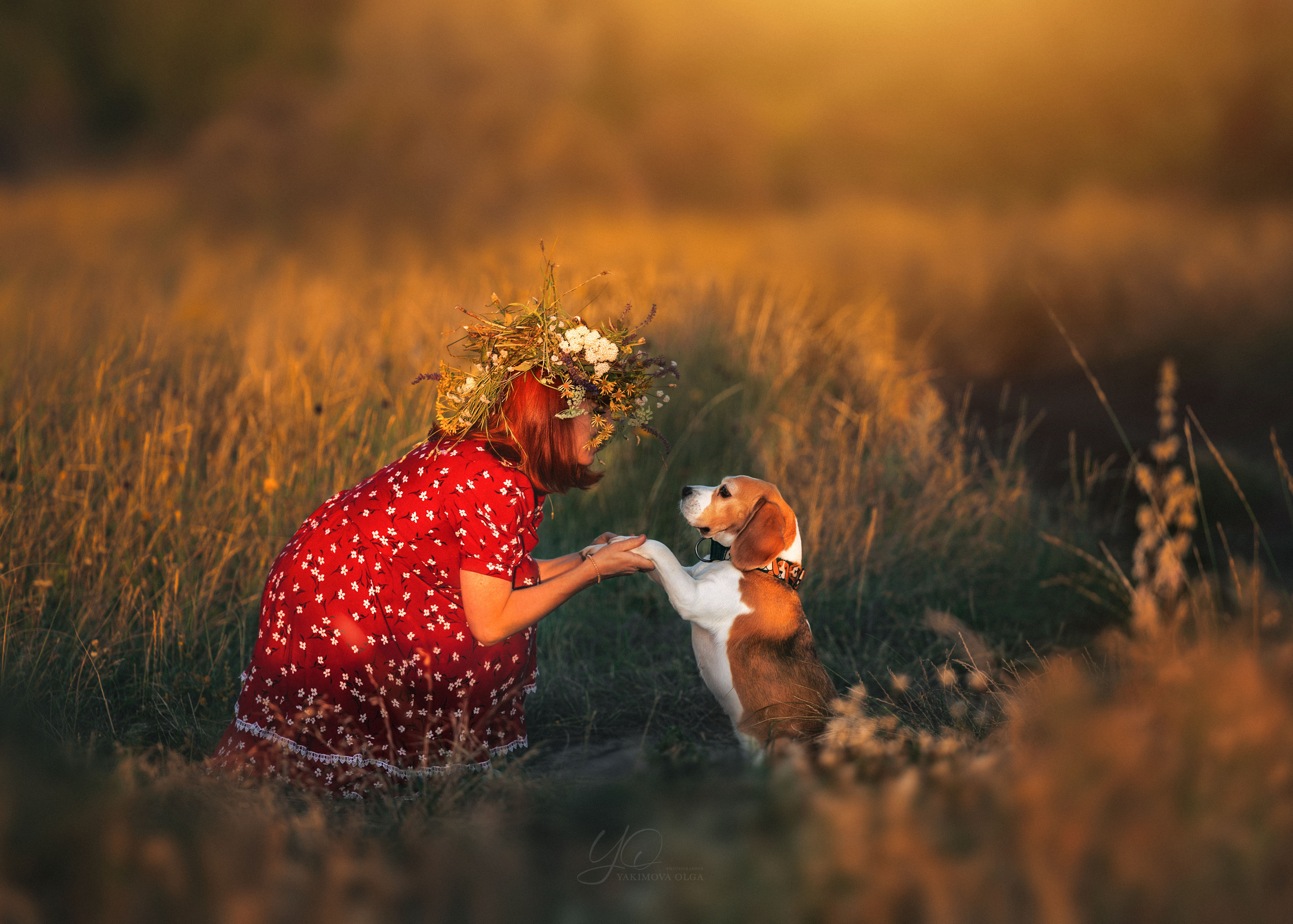 Вечер с Анной. Фотограф