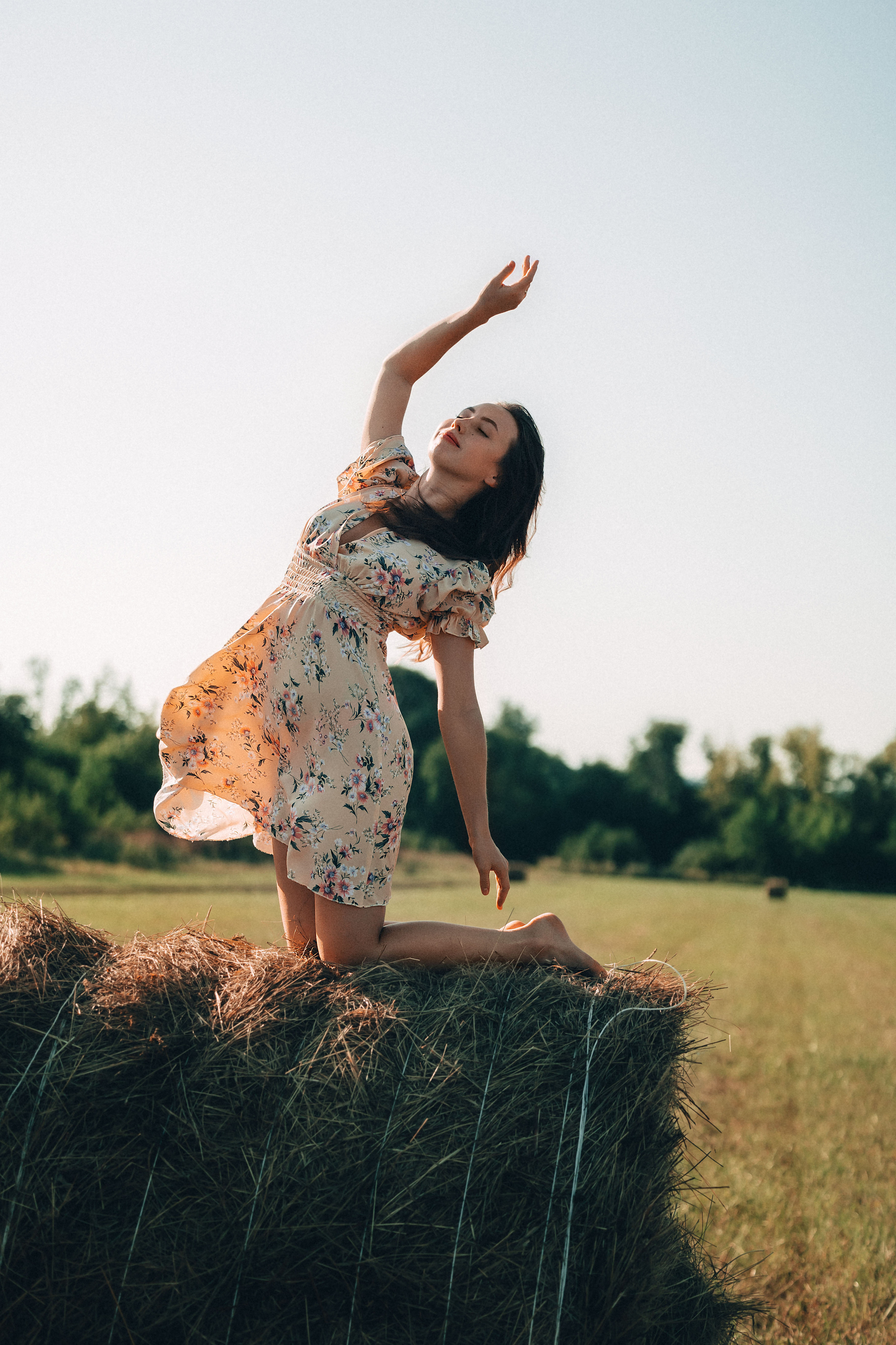 В поиске ромашкового поля…. Фотограф