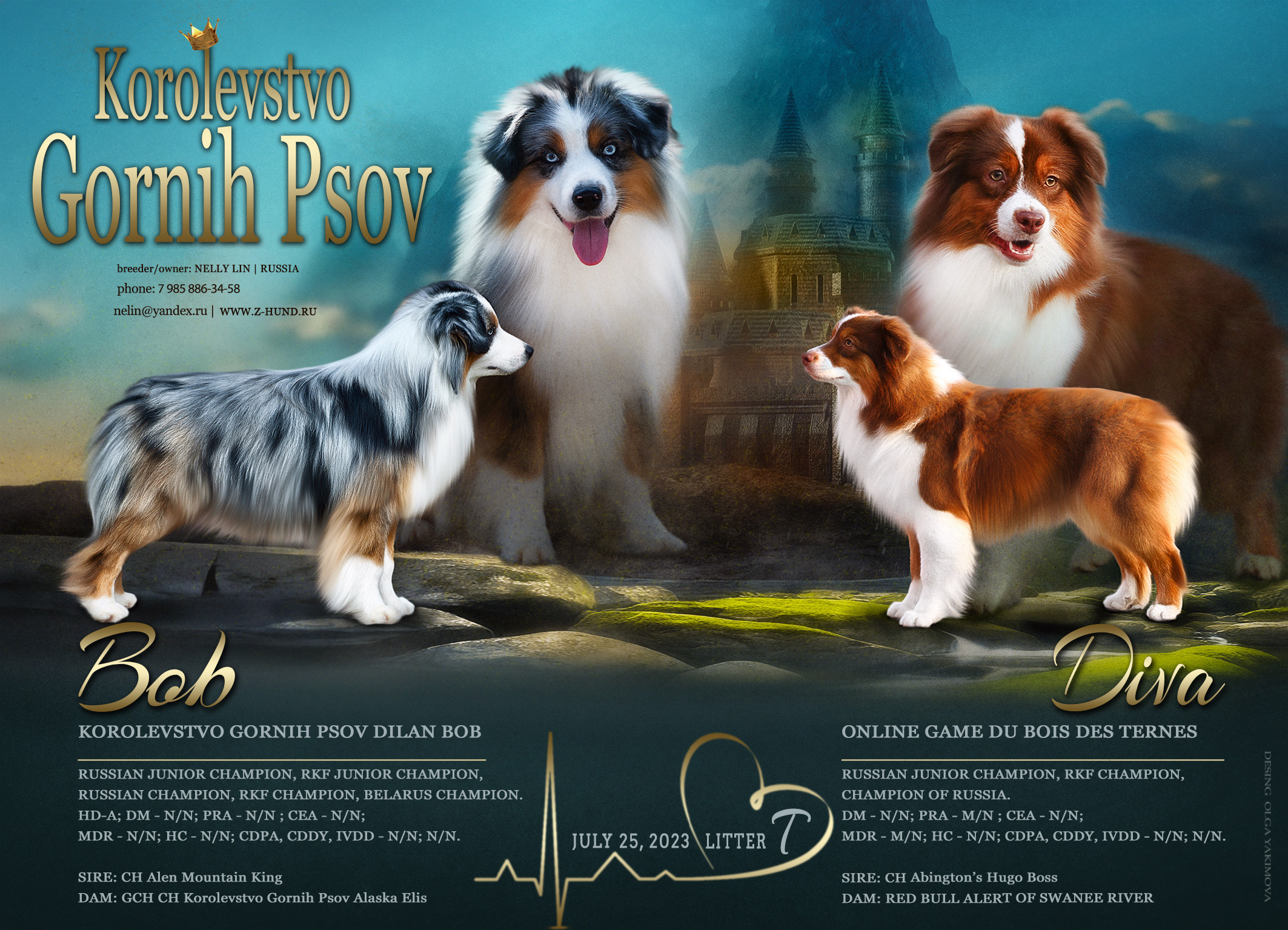 Animal presentation. Фотограф