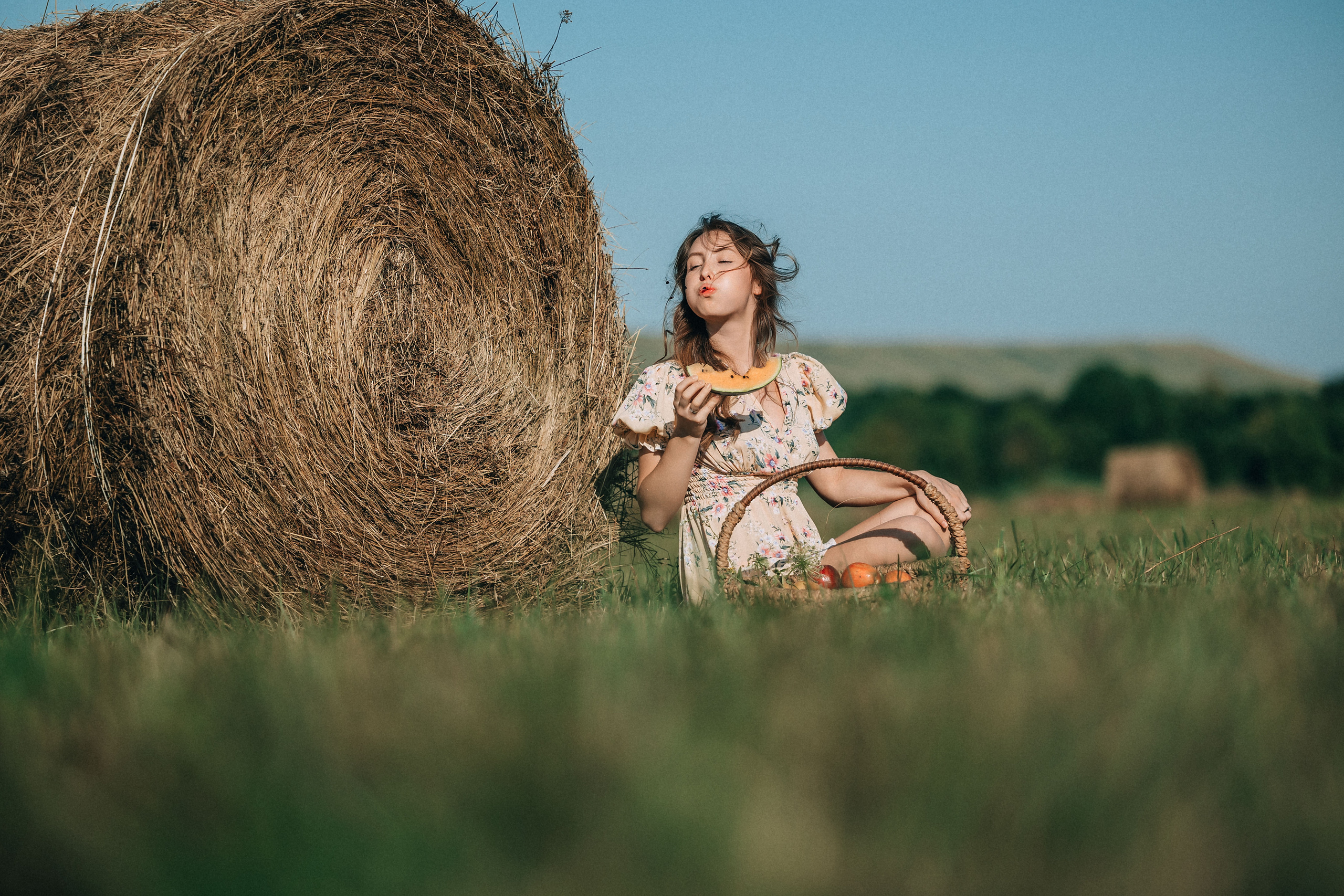 В поиске ромашкового поля…. Фотограф