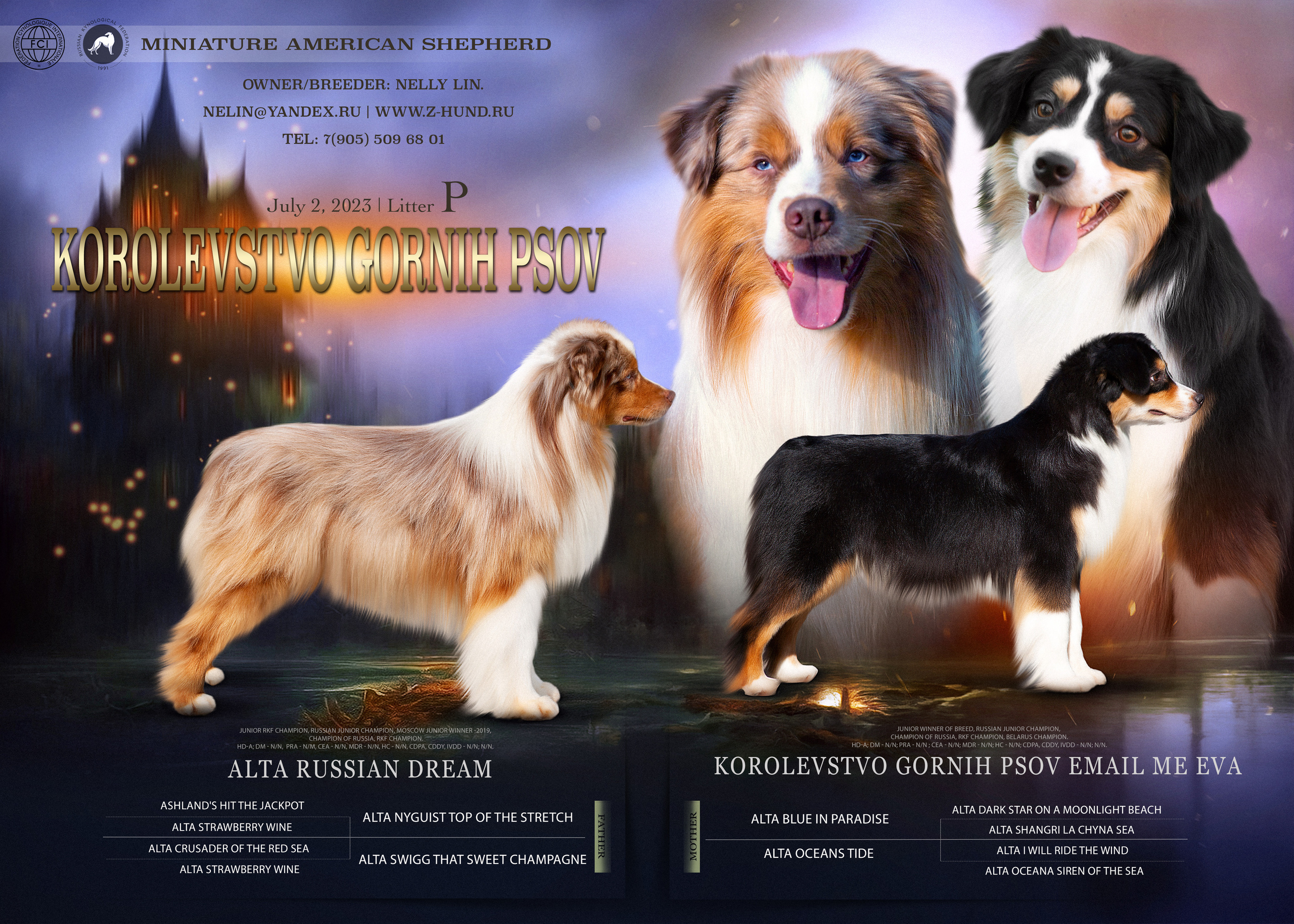 Animal presentation. Фотограф