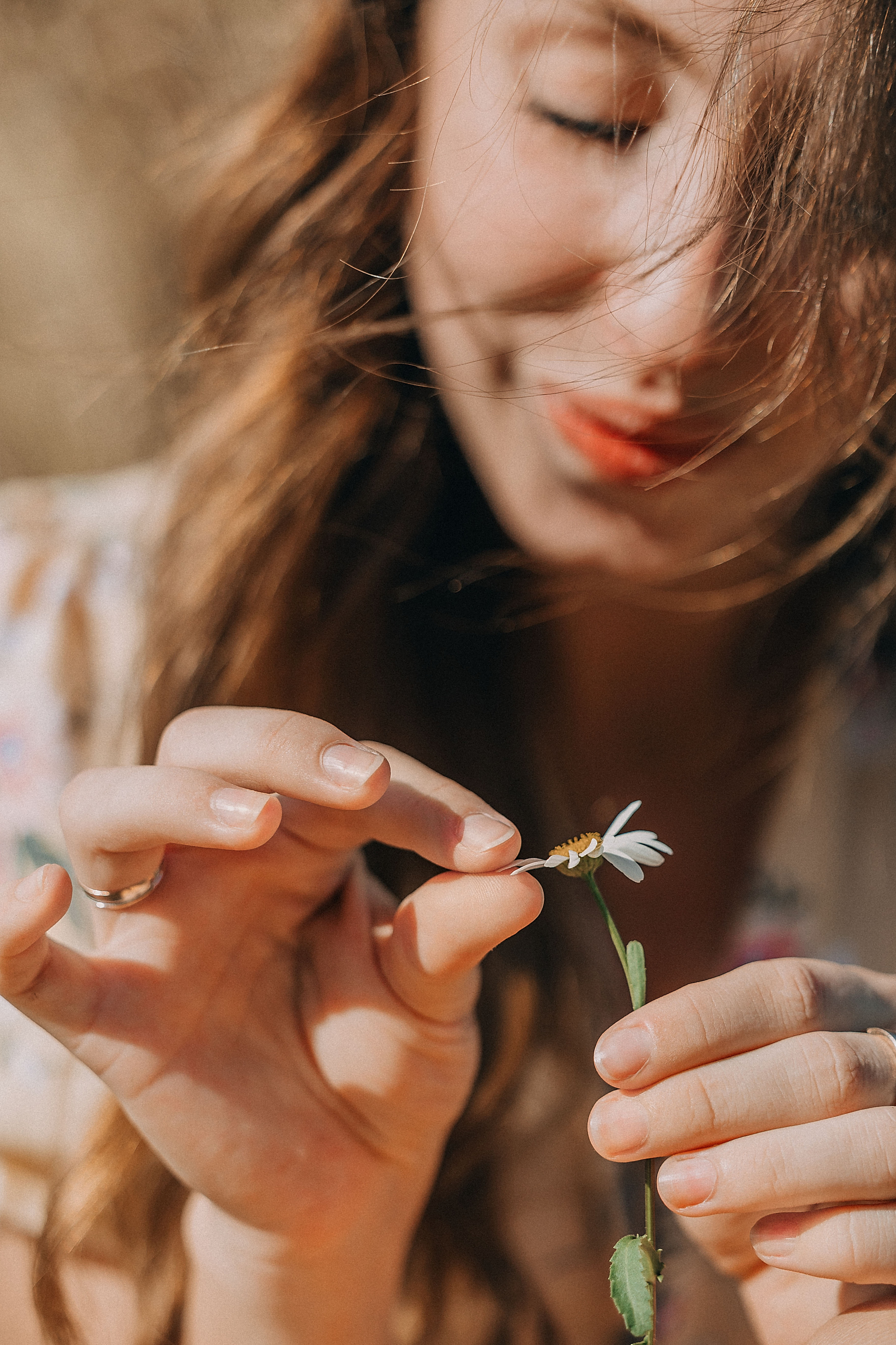 В поиске ромашкового поля…. Фотограф