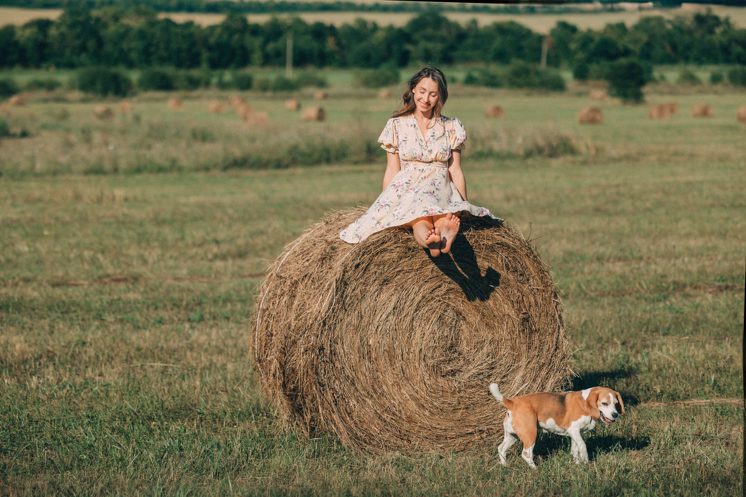 В поиске ромашкового поля…. Фотограф