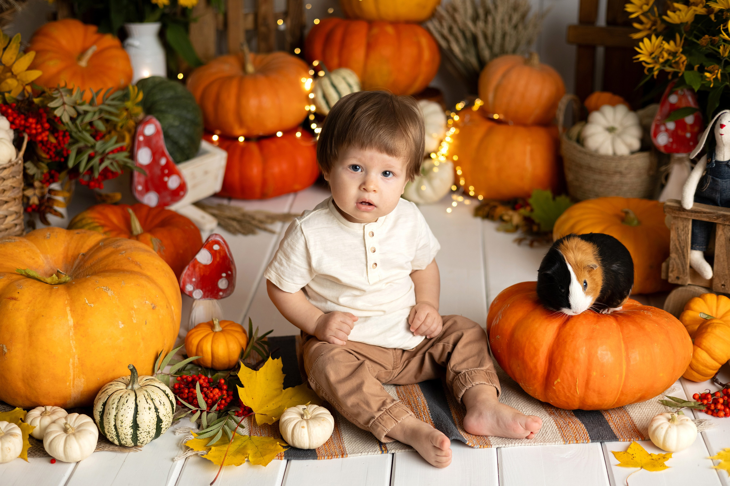 Тематические фотопроекты. Главная