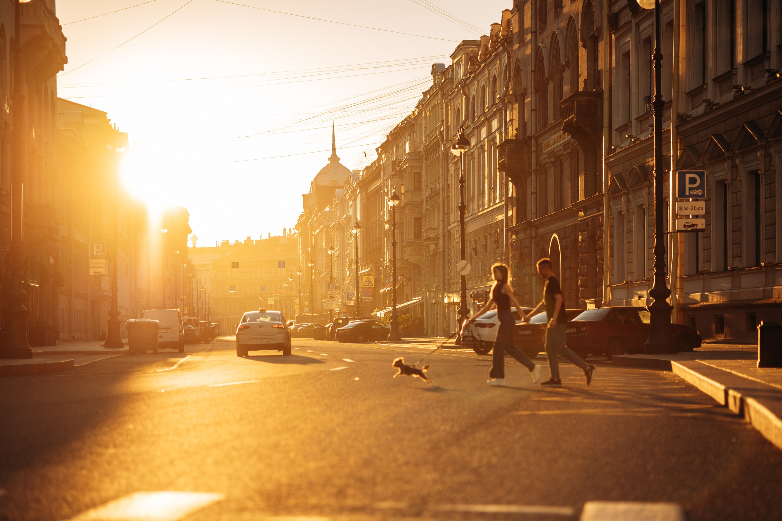 Филя и его семья. Фотограф — Анималист | Санкт-Петербург