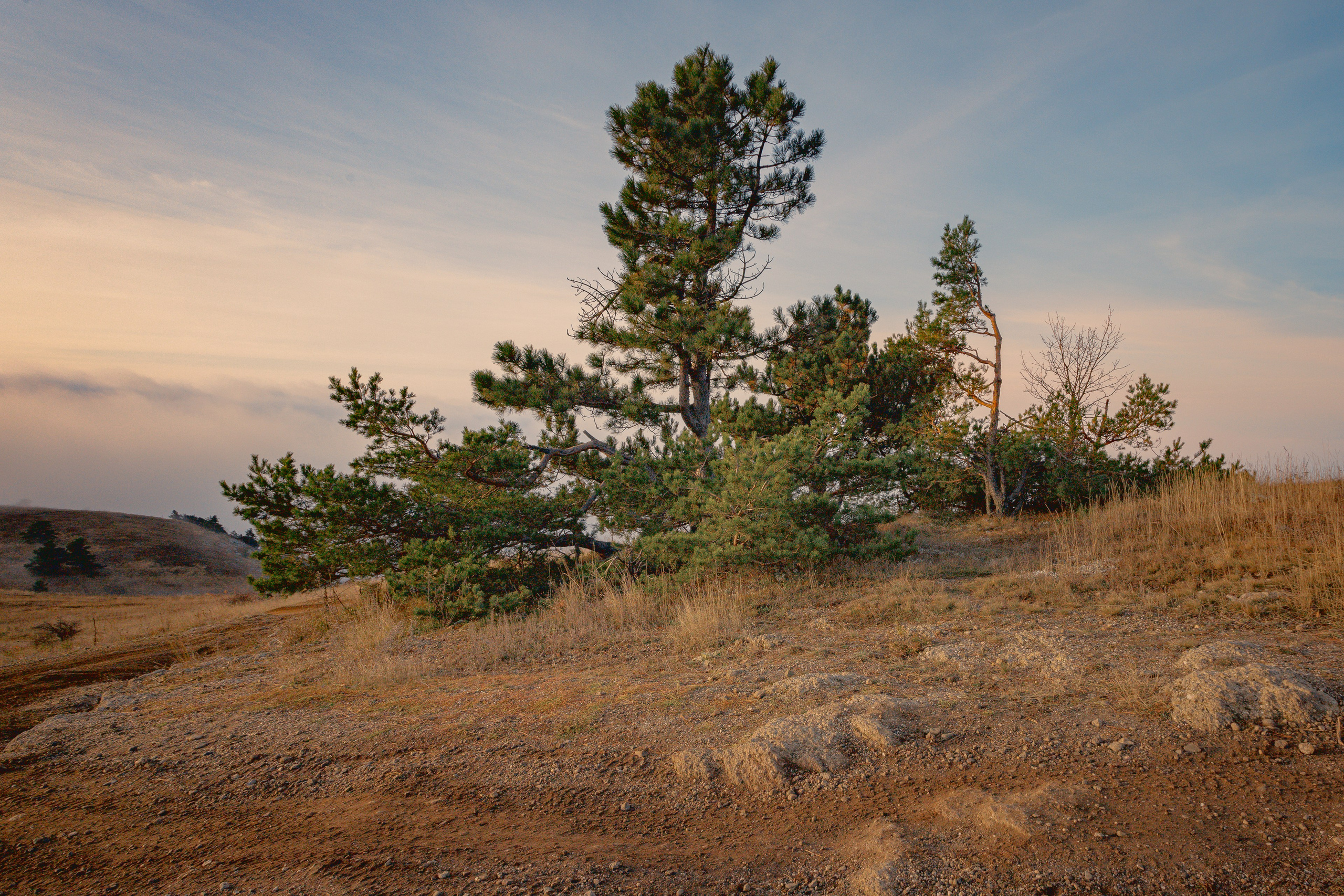 Пейзажная фотография. Фотошкола ArtFotoLife для начинающих и продвинутых фотографов