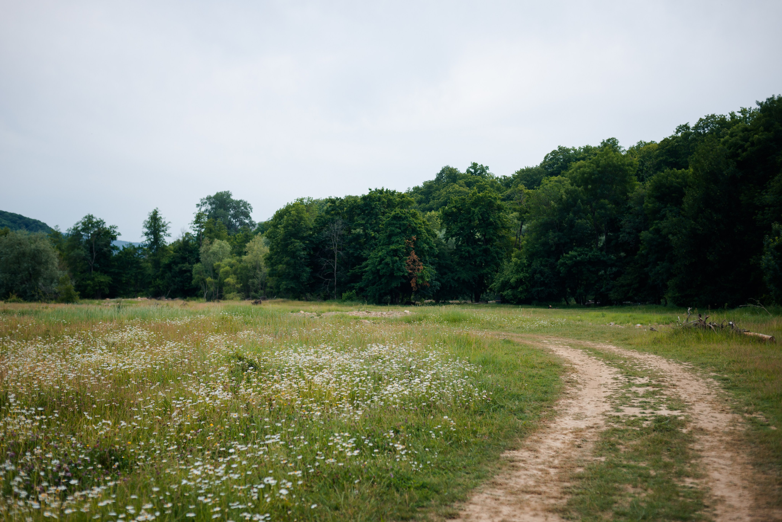 Фотосессия в горячем ключе женский портрет. Свадебный фотограф в Горячем Ключе Смирнова Дина