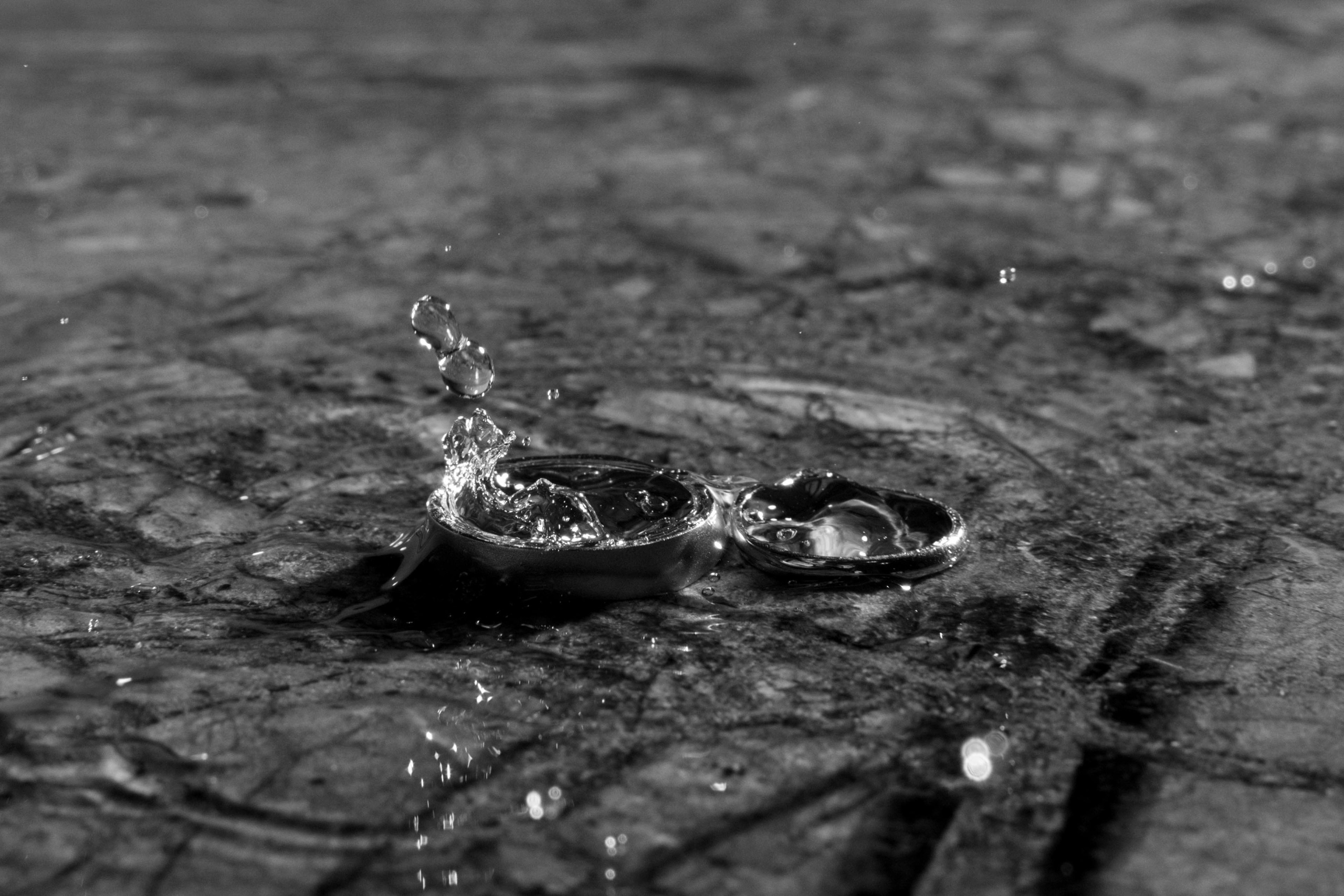 Константин и Екатерина. Свадебный и портретный фотограф в Москве Гудумак Евгений