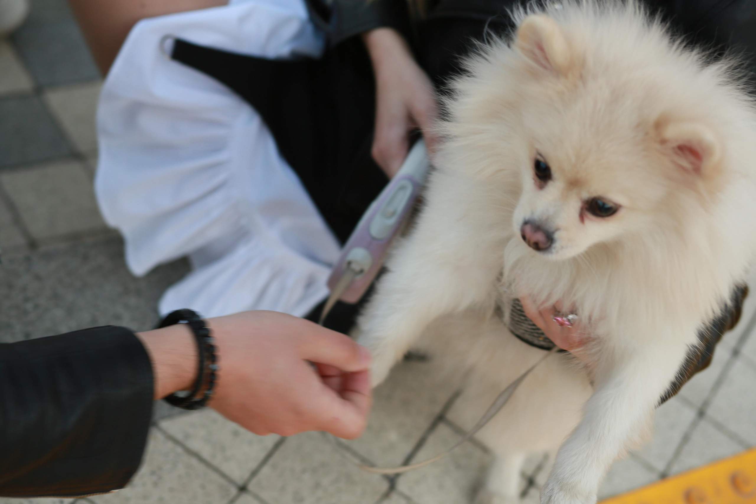 Love story. Ната Филина. Ваш семейный фотограф. Москва