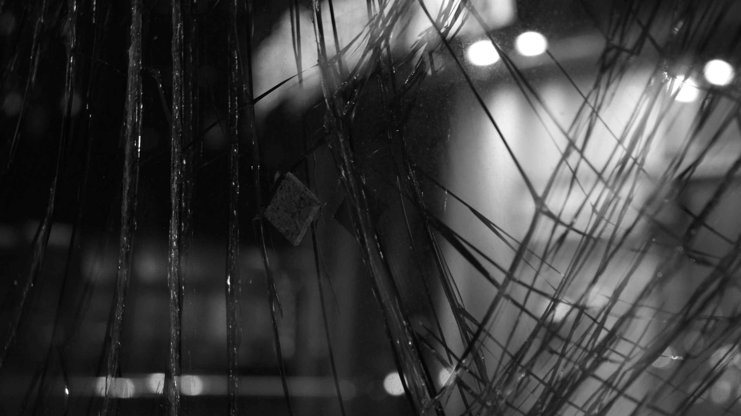 TMN winter '25 (wb). Фотограф/дизайнер в Екатеринбурге Хитрый Дмитрий