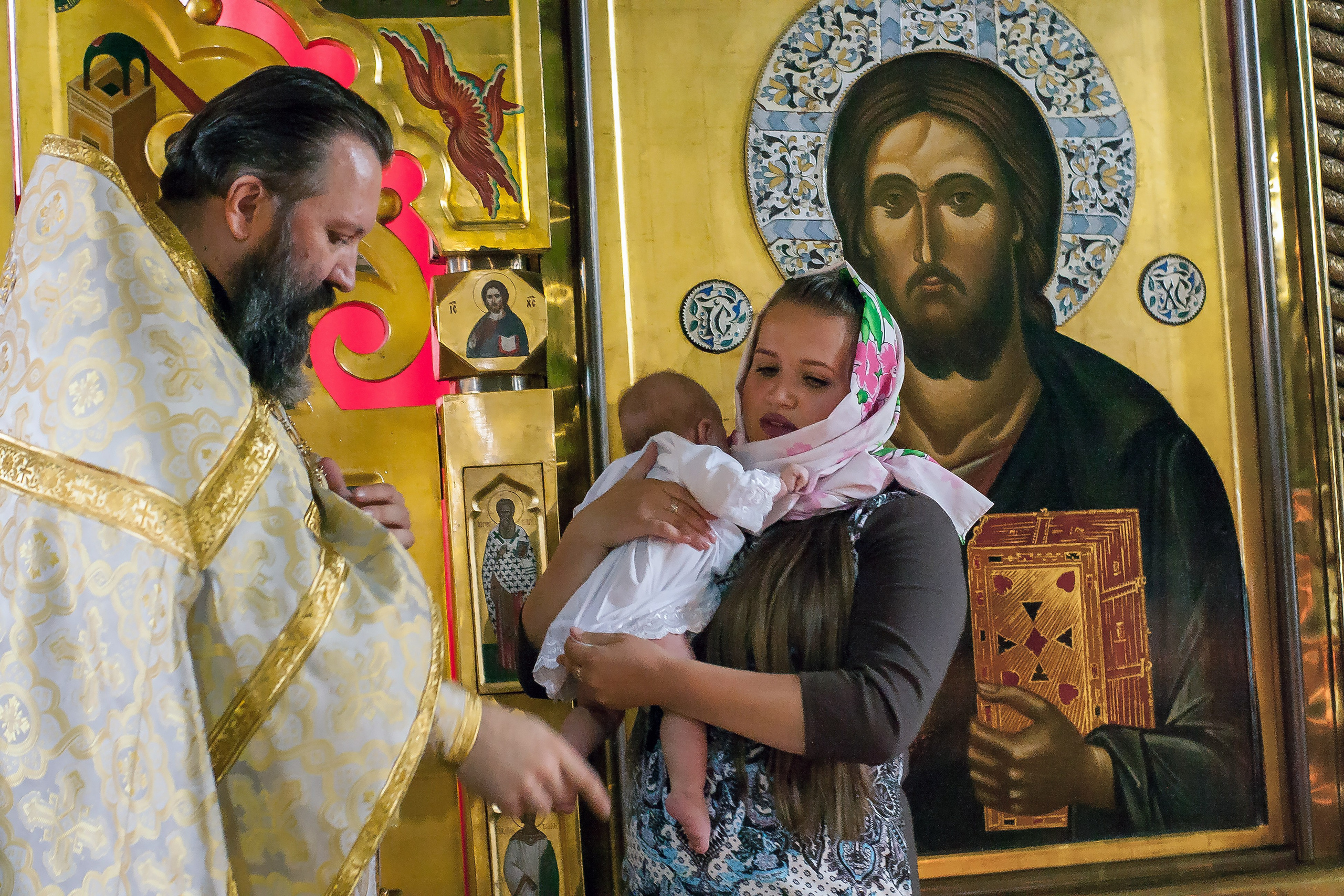 Крещение в п. Сероглазка (август 2017). Репортажная съемка в Москве и области. Анималистика