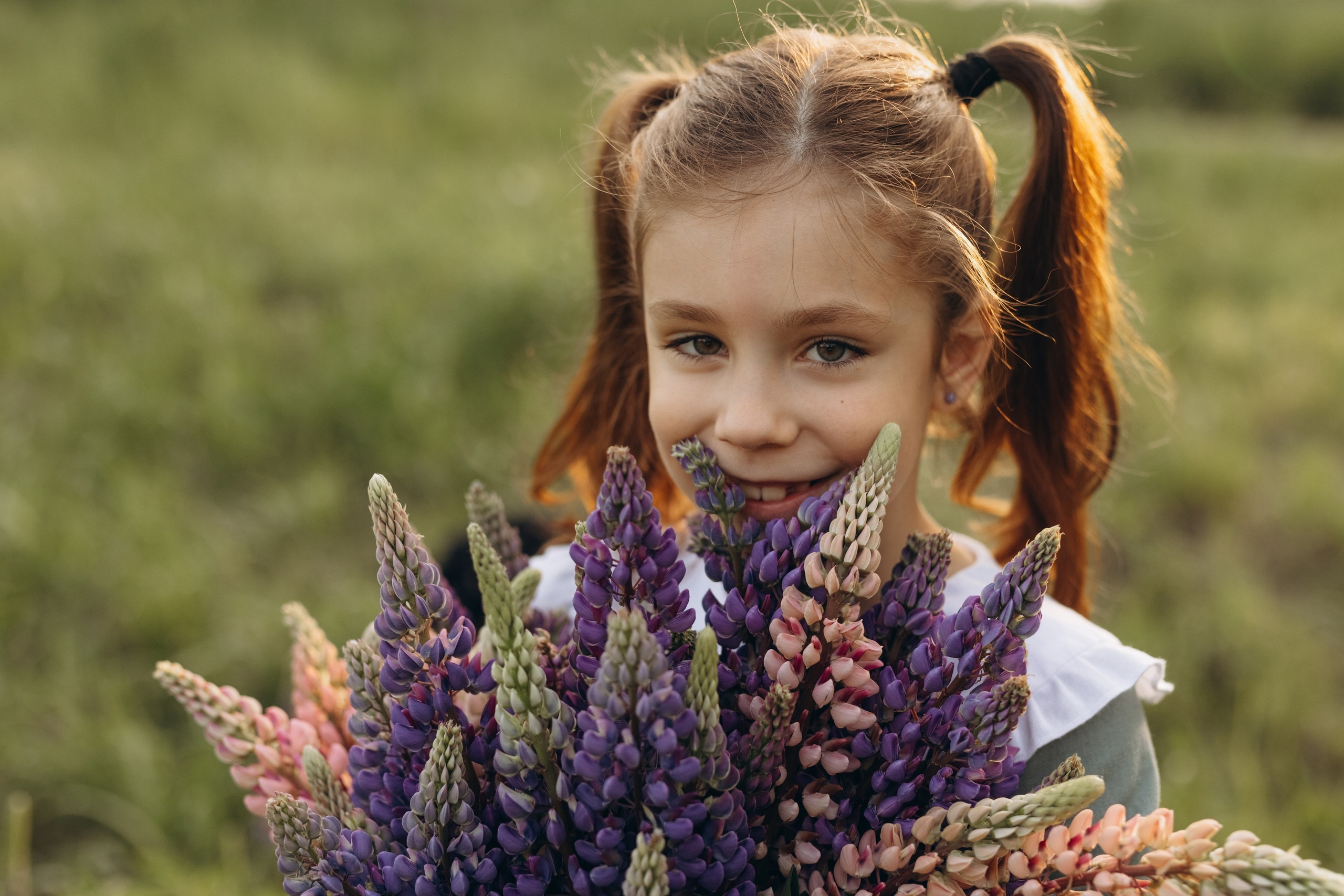 В люпинах. Фотограф Людмила Оюн