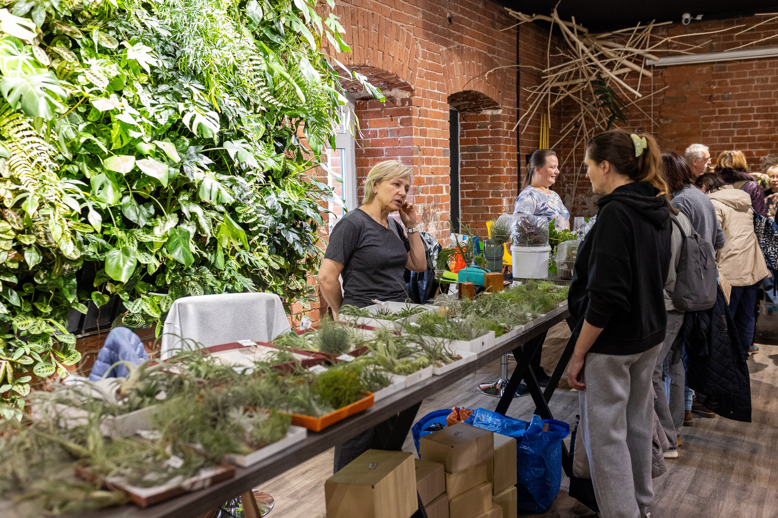 GreenRare ярмарка 2024. Александра Куликова фотограф, Москва