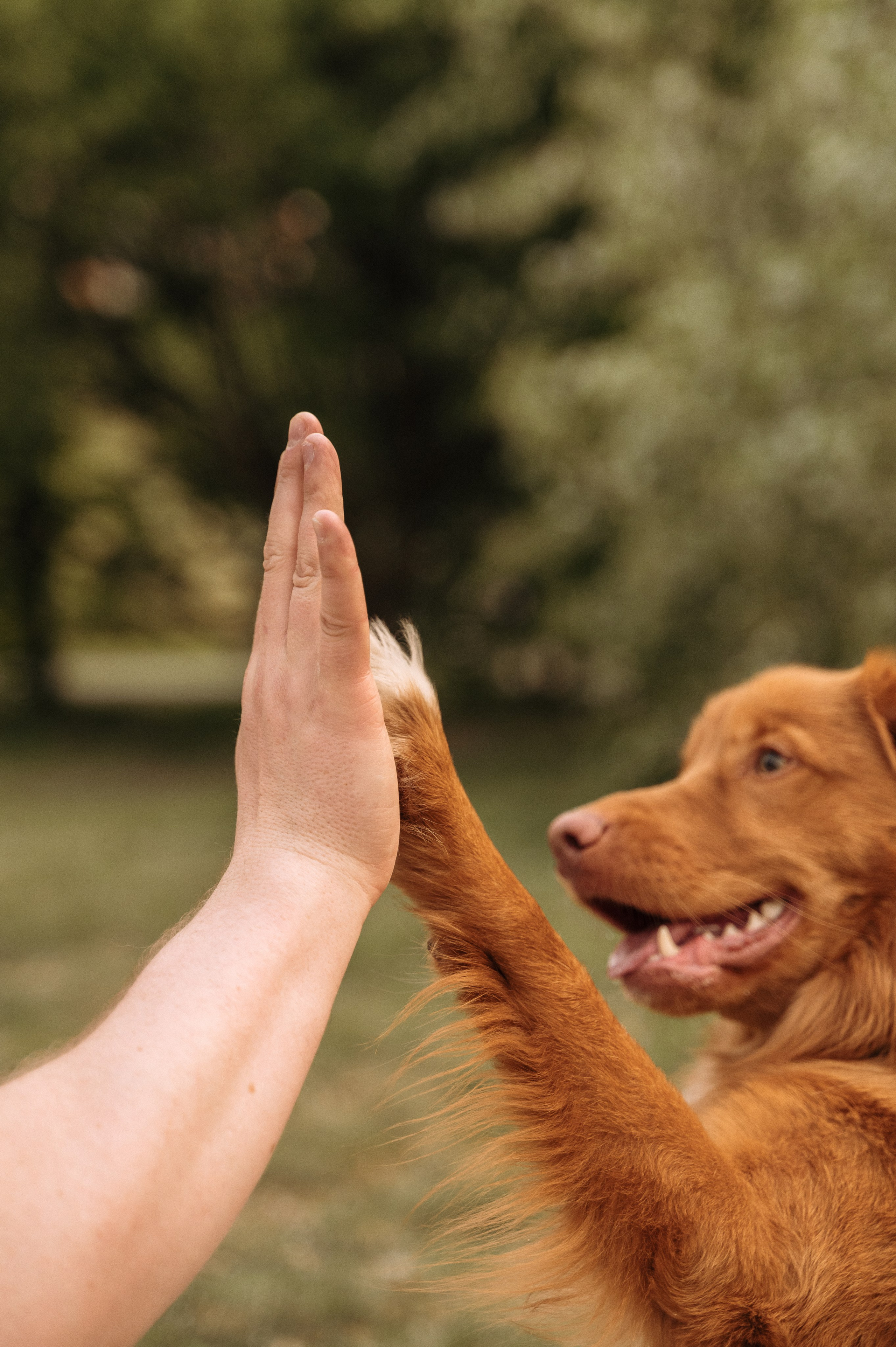 Таня, Денис и Лео. Портретный и семейный фотограф в Екатеринбурге Мария Чахеева
