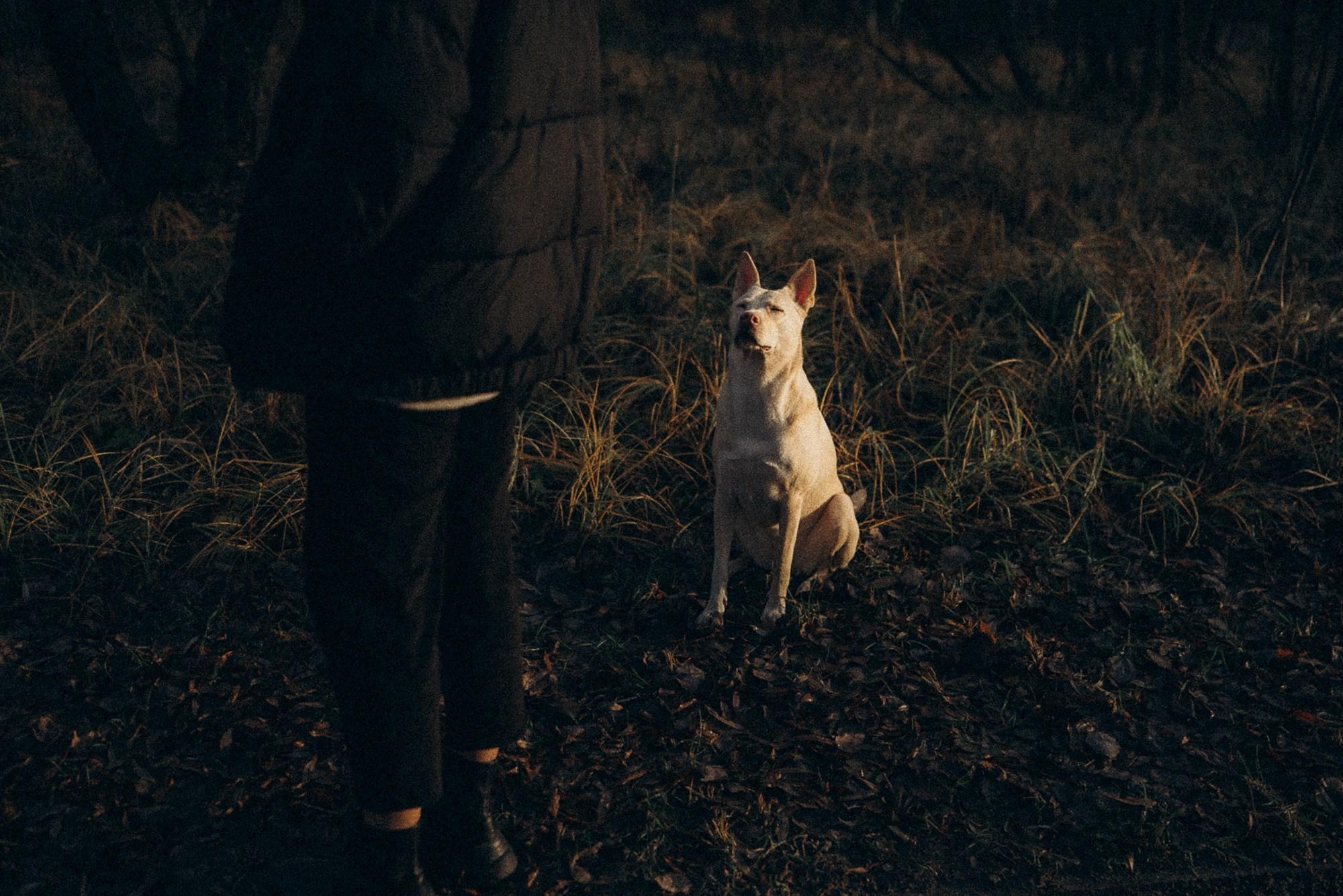 Туся. Фотограф анималист в Москве и Санкт-Петербурге Свиридова Анна