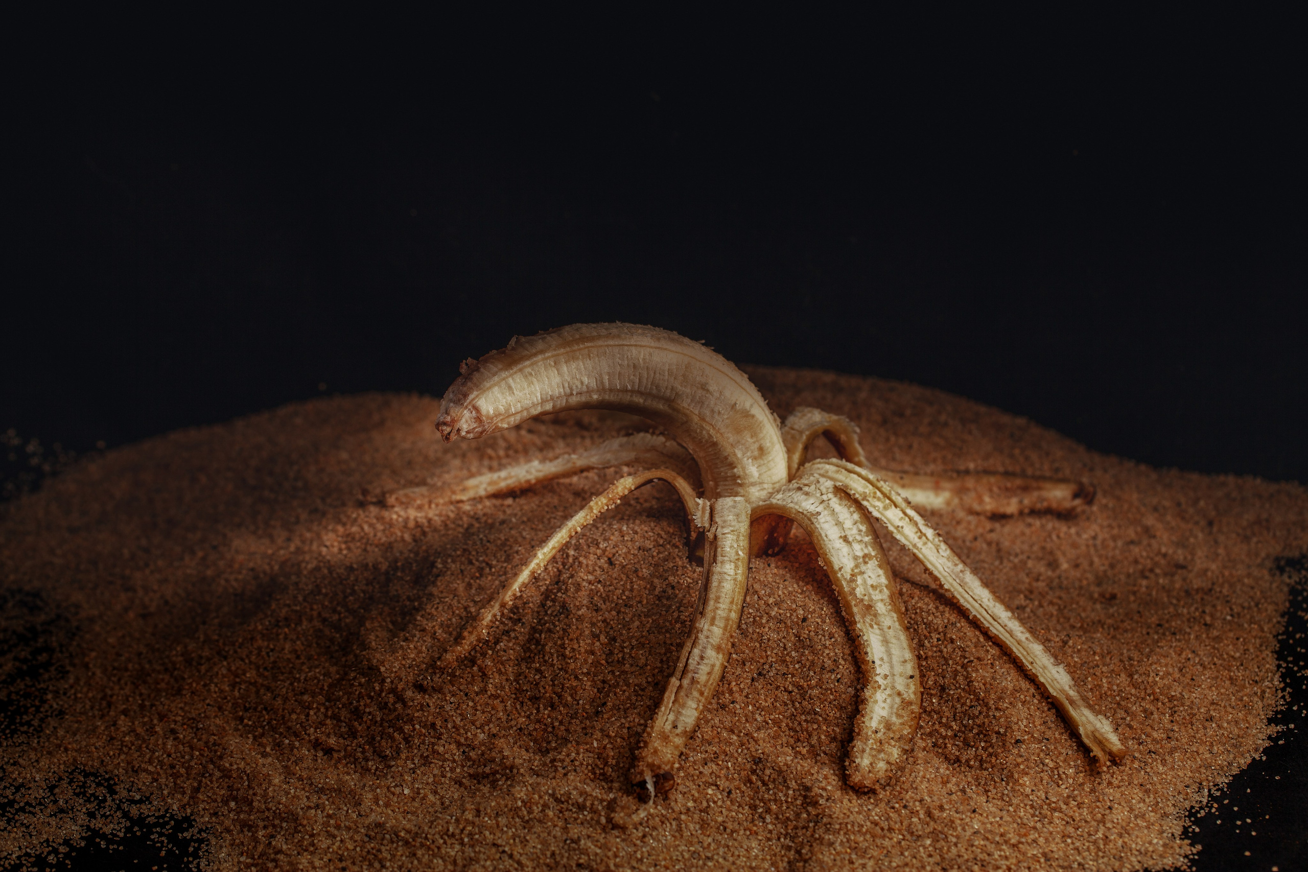 Красота тоже рядом с нами. Медиапродюсер, фотограф в Минеральных Водах —Виктор Холодов