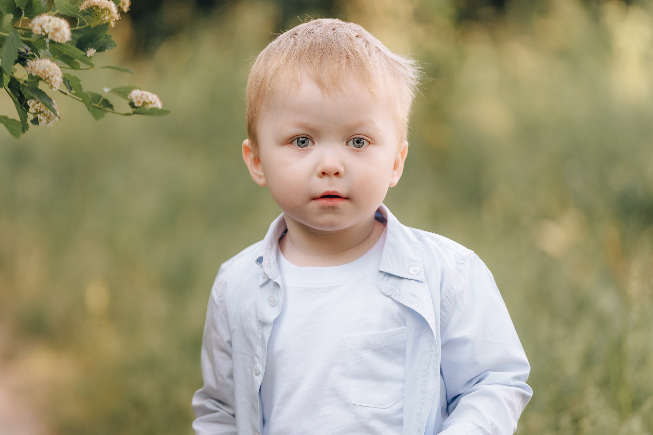 Братишки. Детский и семейный фотограф Катерина Мишина