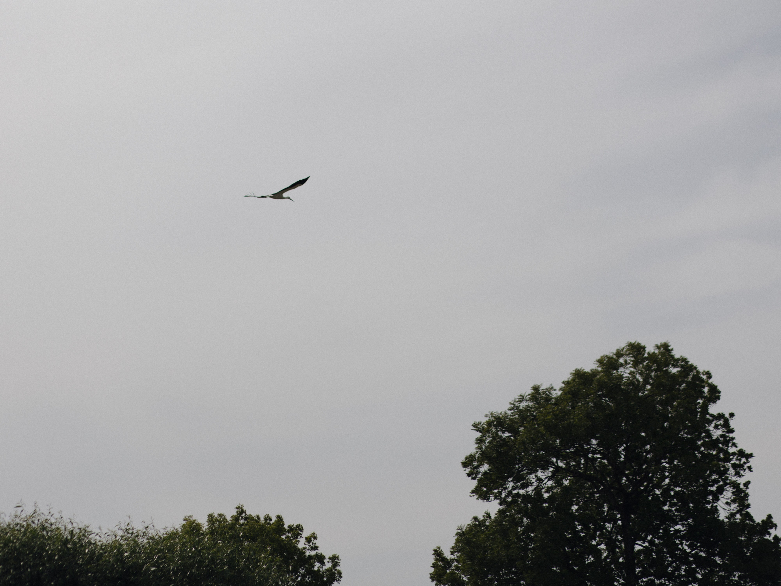 Бэкстейдж для агентства «Art de vivre». Свадебный и семейный фотограф в Калининграде Ольга Мешечкова