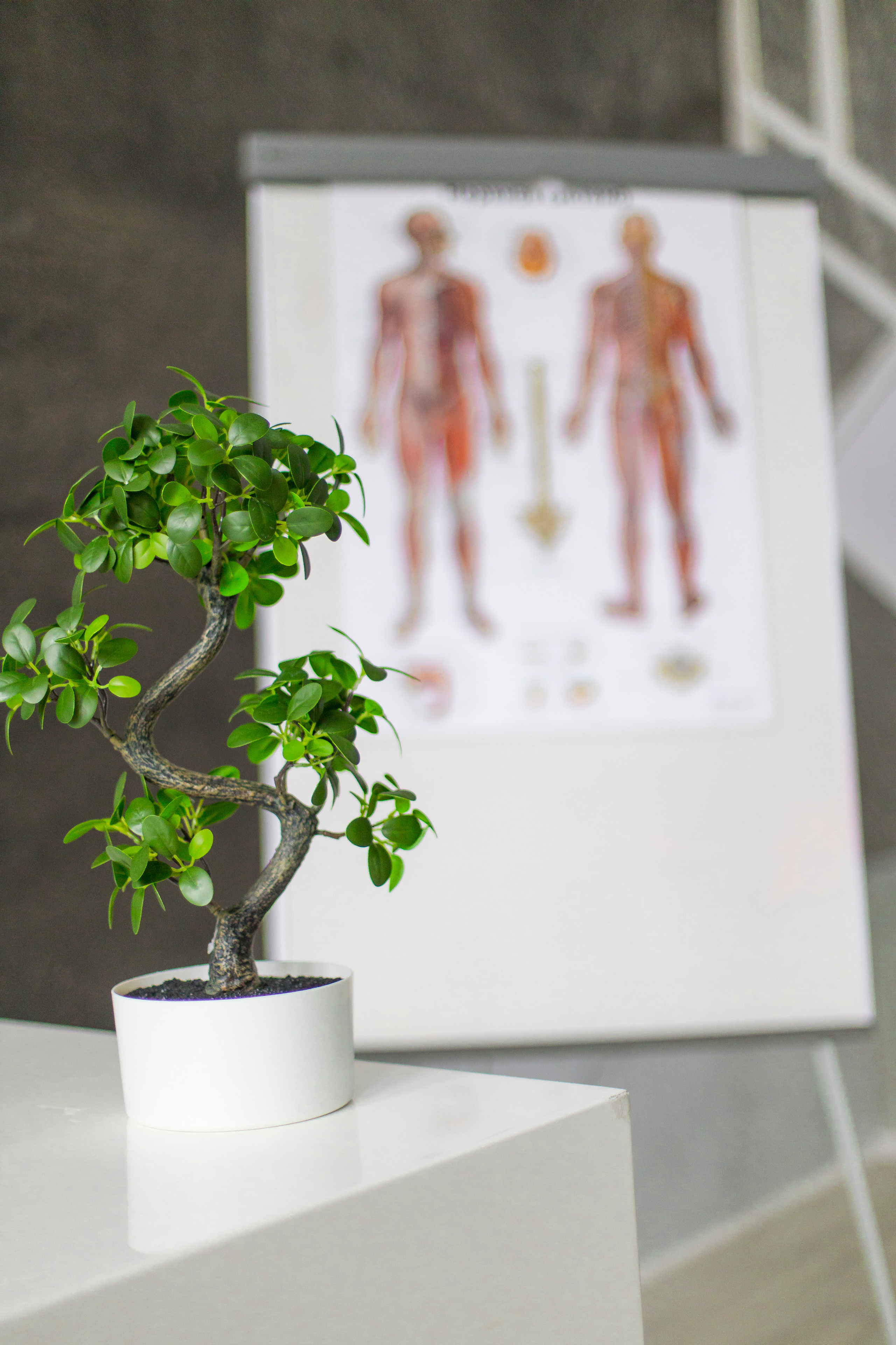 Педиатр-кардиолог Екатерина Каредина. Детский и семейный фотограф Калугина Марина | Москва и МО