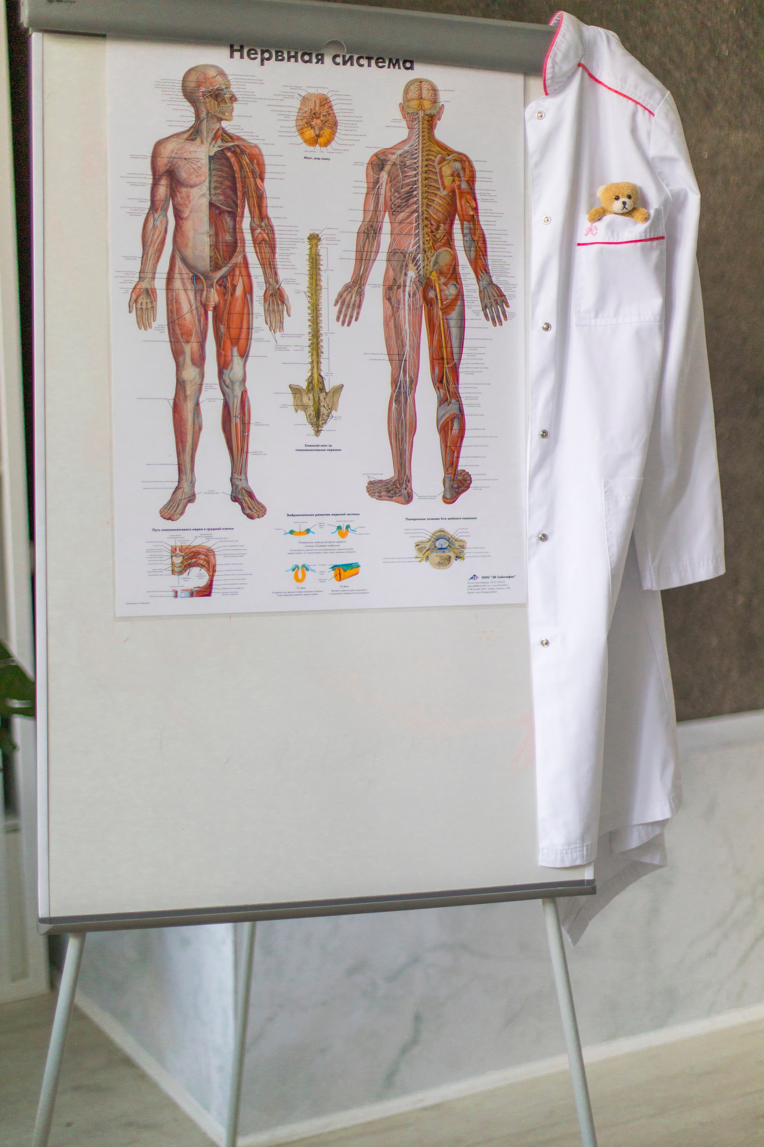 Педиатр-кардиолог Екатерина Каредина. Детский и семейный фотограф Калугина Марина | Москва и МО