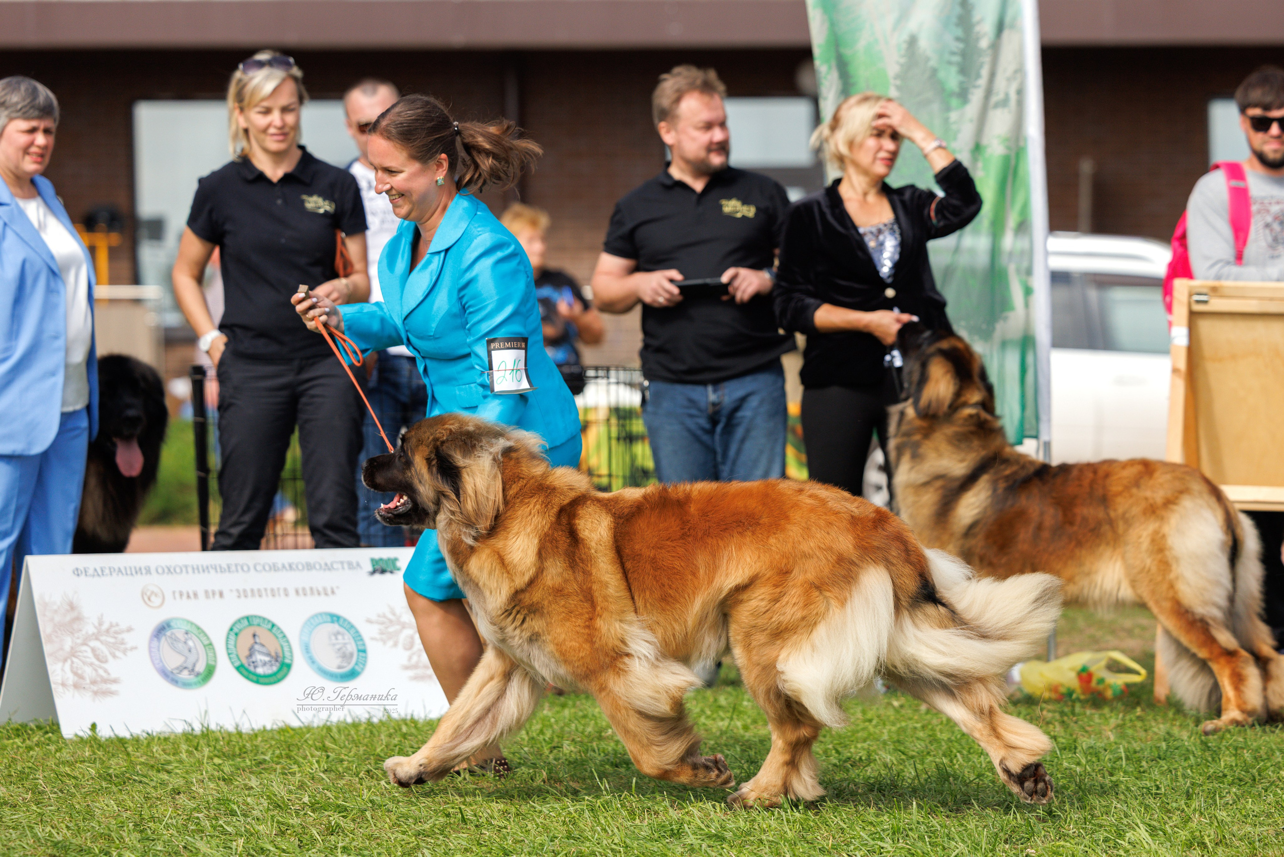 Переславль 5-7.08.2025. Фотограф-анималист Юлия Германика