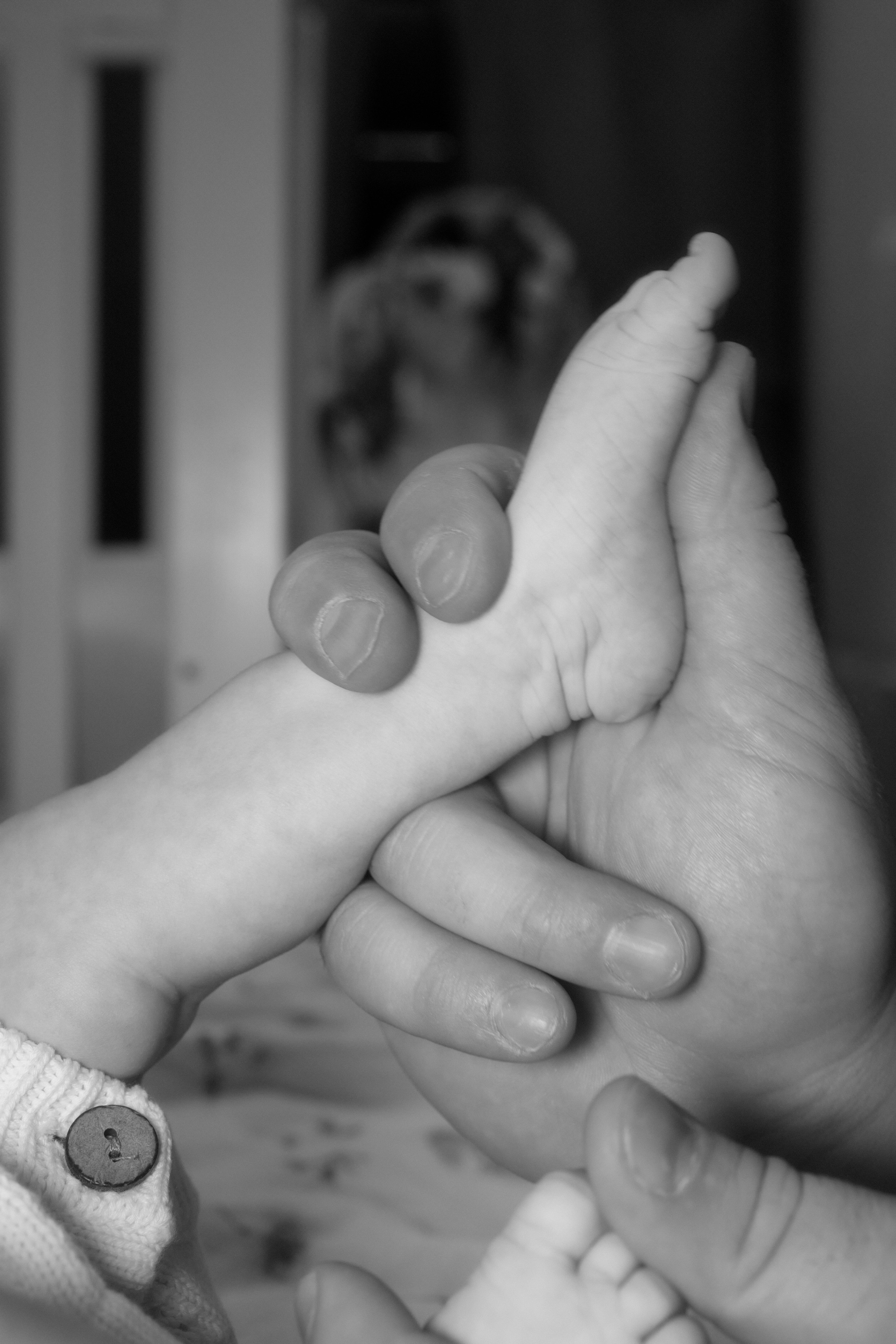 Семейная фотосессия | новорожденная малышка. Твой личный фотограф Сочи | Йошкар-Ола