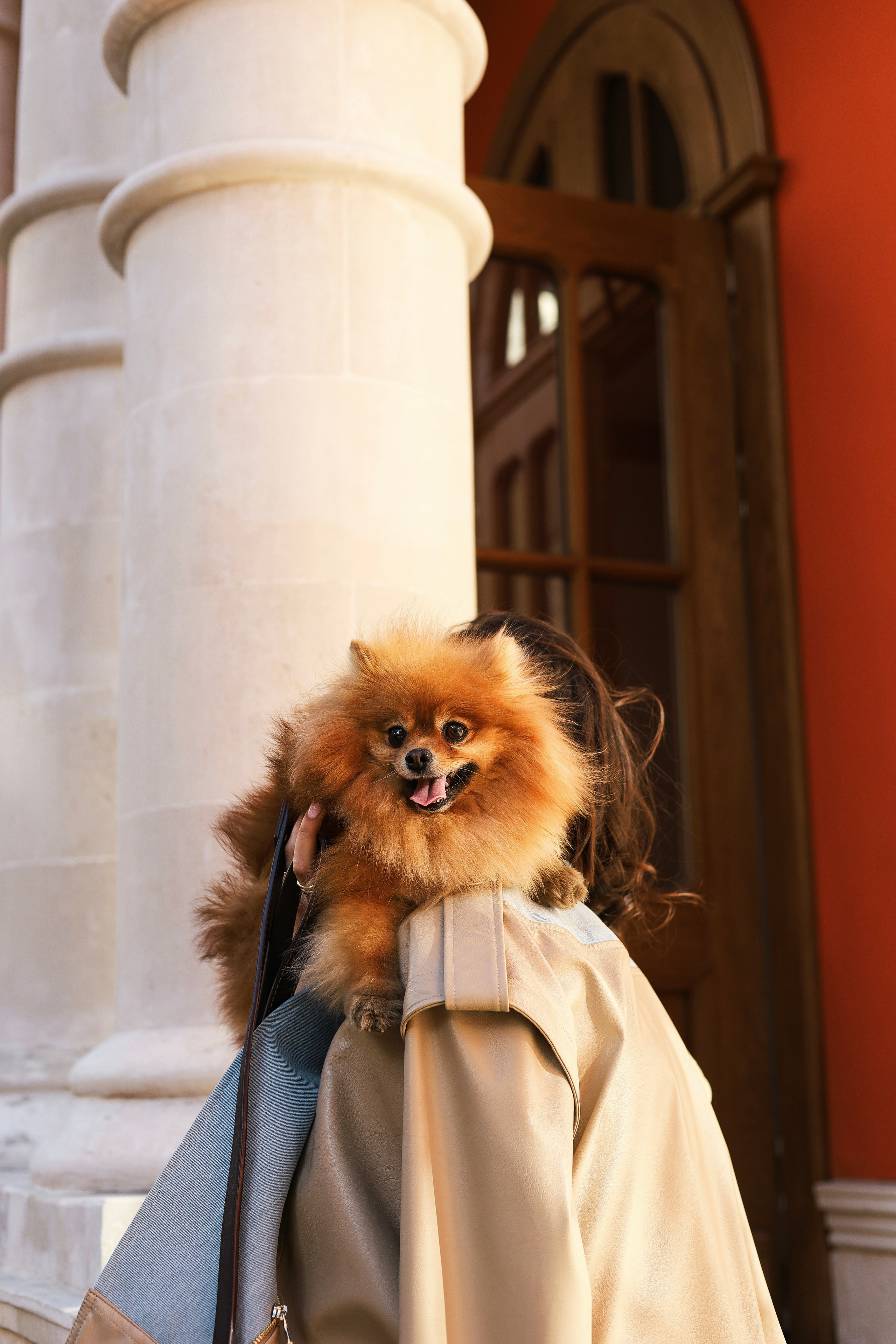 Мика и Лена. Фотограф-анималист Ксения Шевцова|Москва