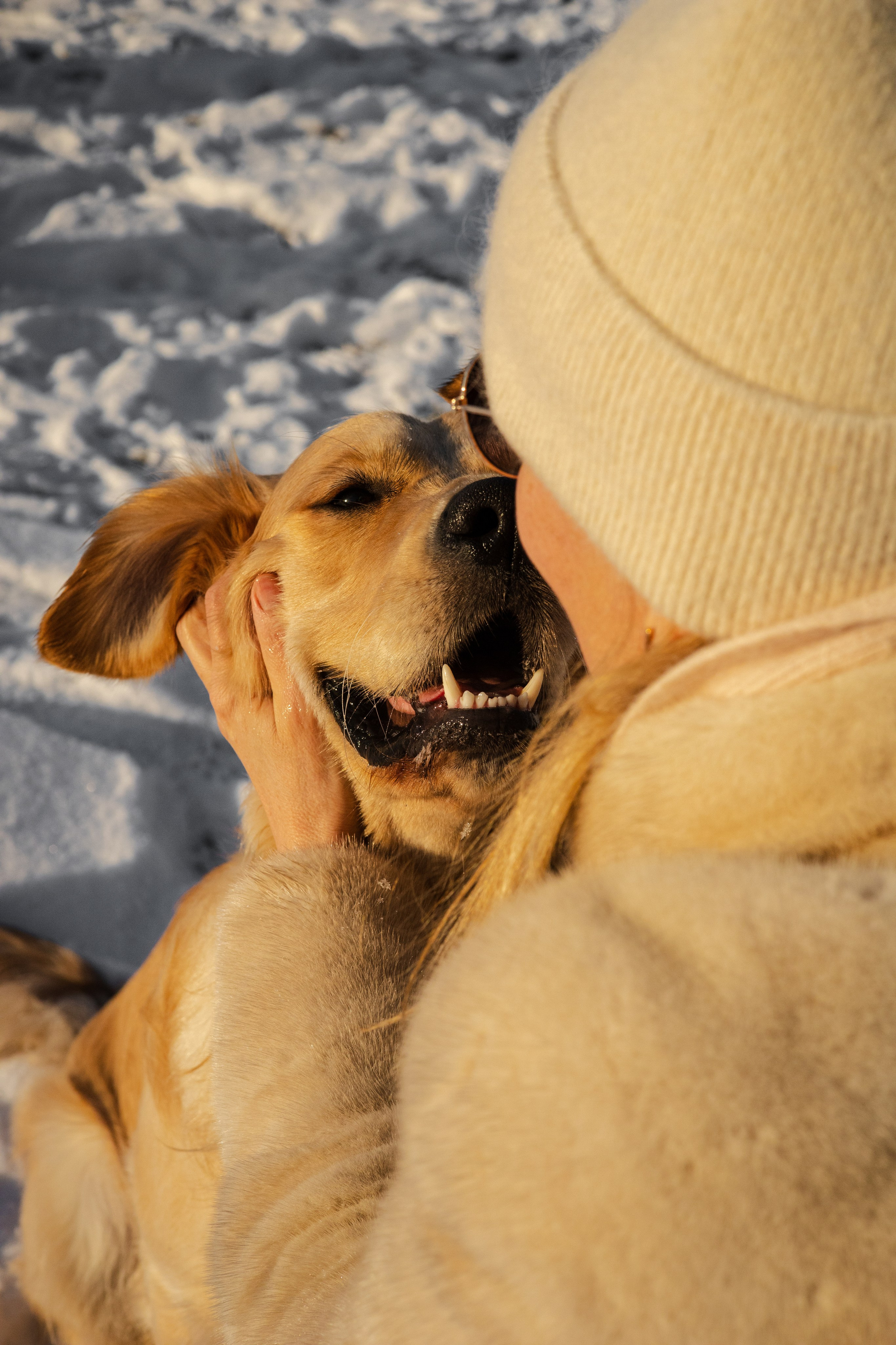Ларри и его семья. Фотограф-анималист Ксения Шевцова|Москва