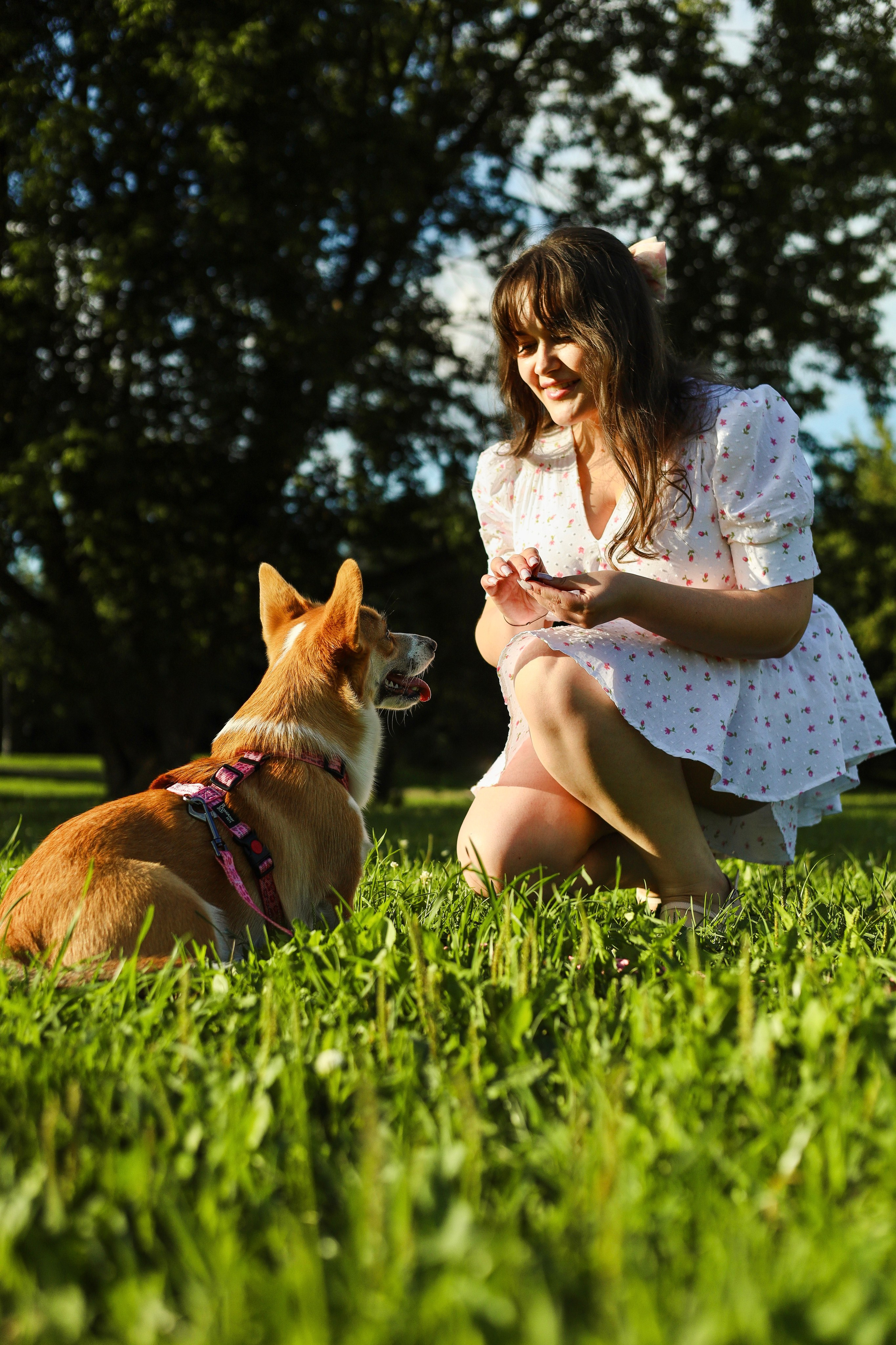 Эмили, Аня и Лёша. Фотограф-анималист Ксения Шевцова|Москва
