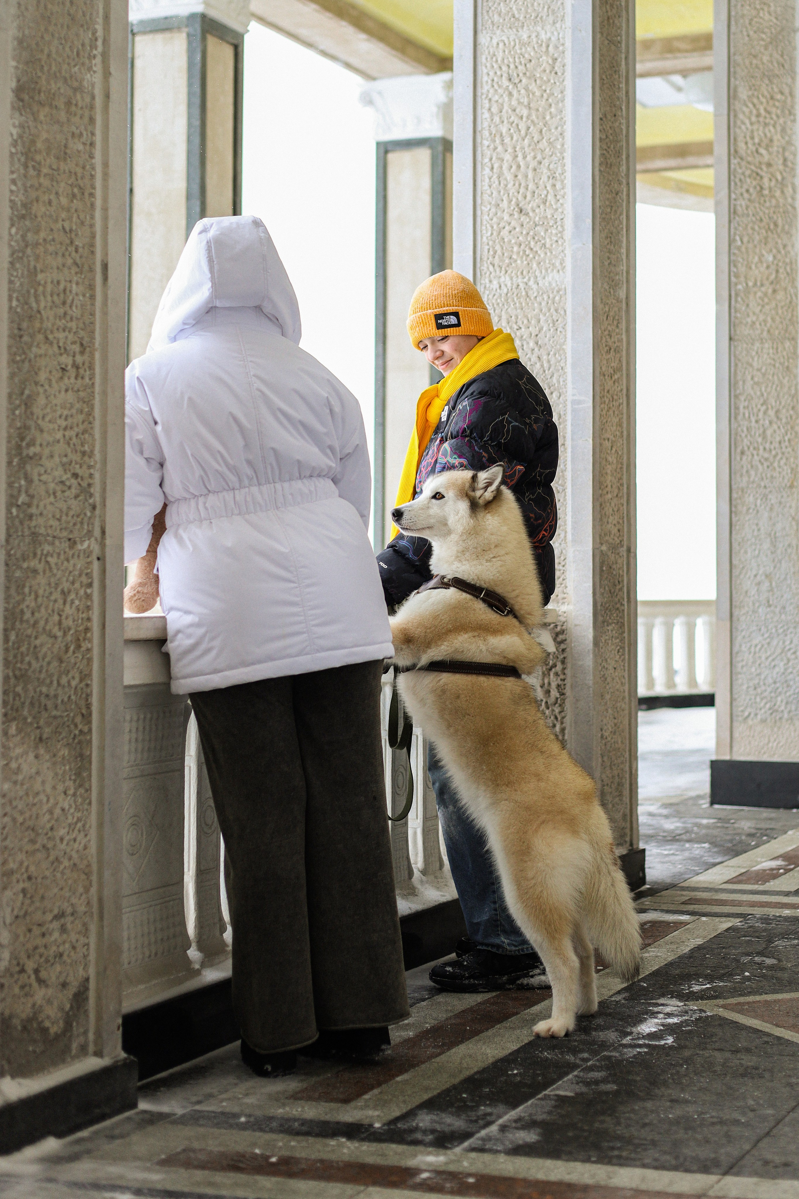 Мила, Лиза и Матвей. Фотограф-анималист Ксения Шевцова|Москва