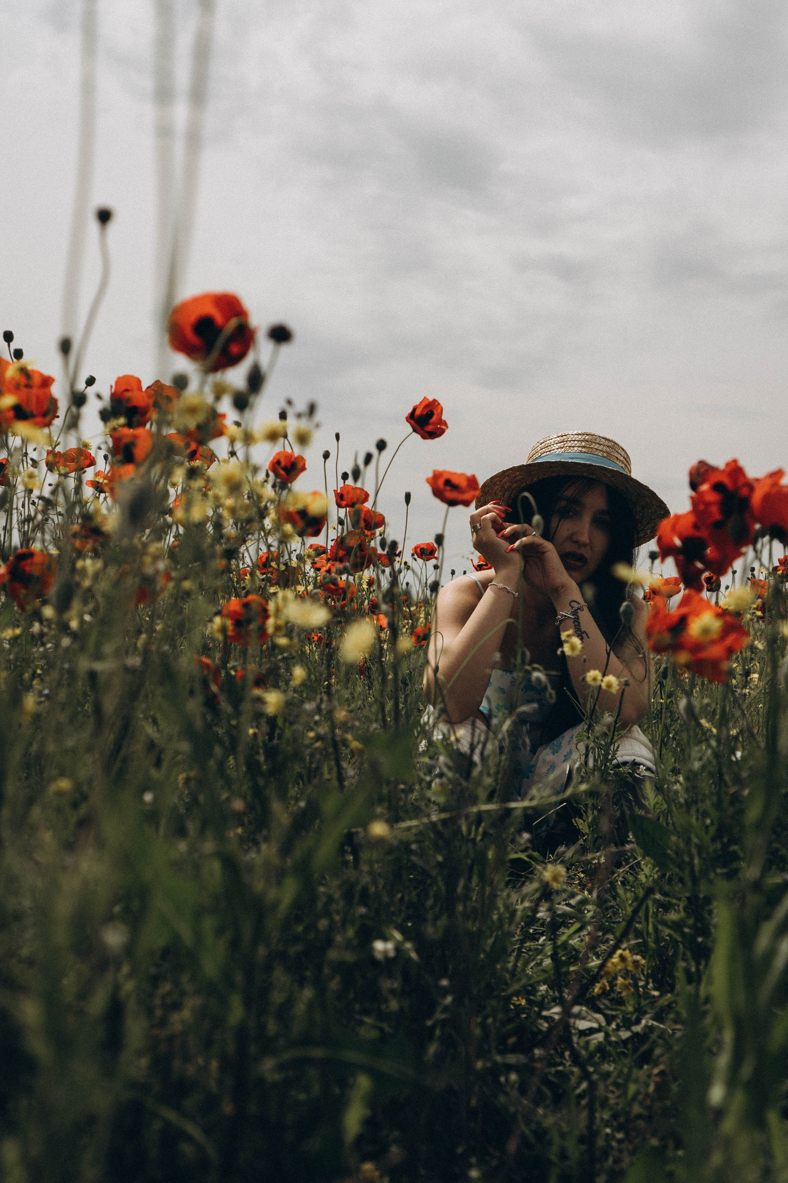 Цветочная поляна. Профессиональный фотограф, Санкт-Петербург — Виктория Богомолова