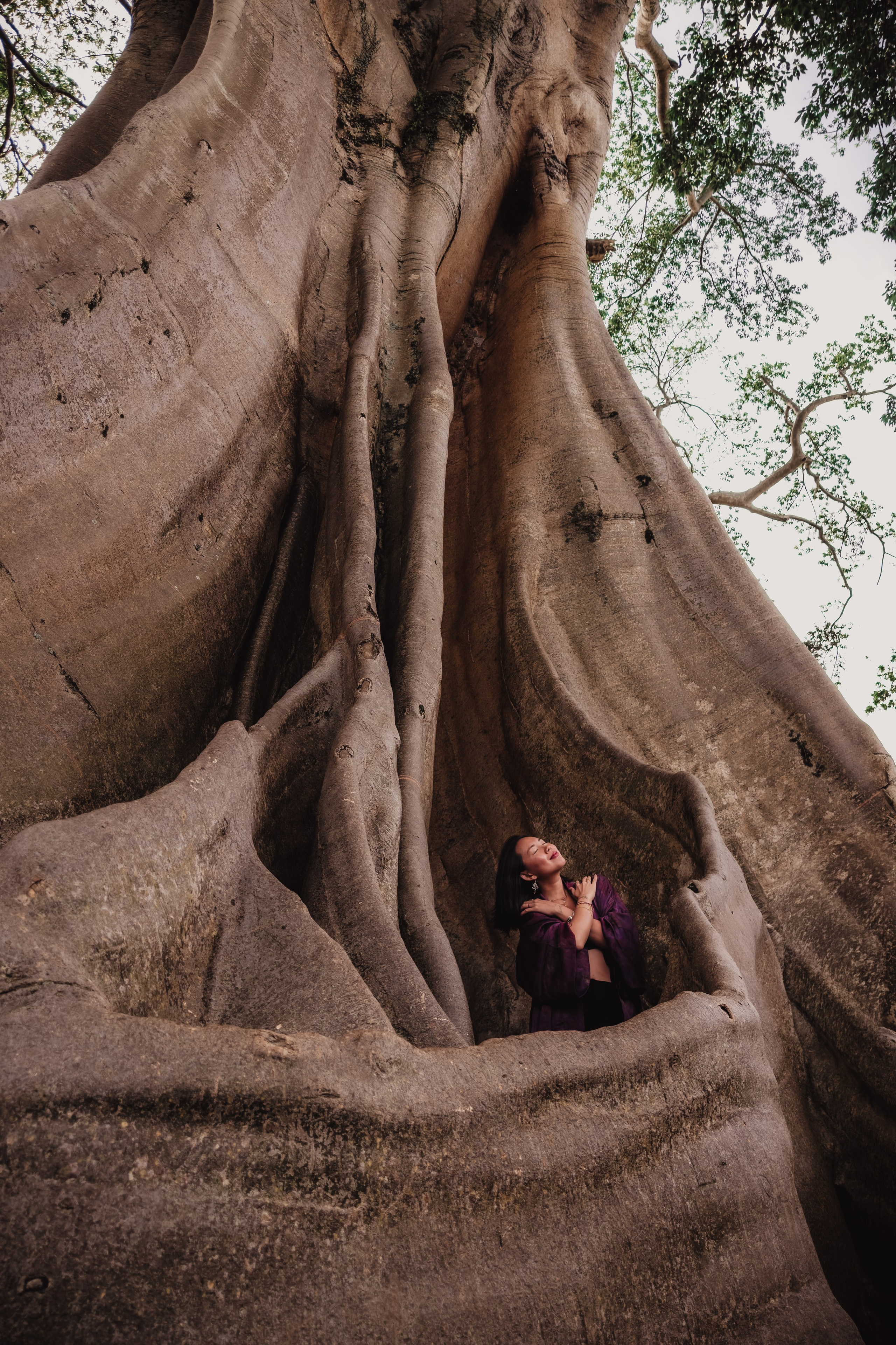 Banyan date. Mariam Bagdasaryan