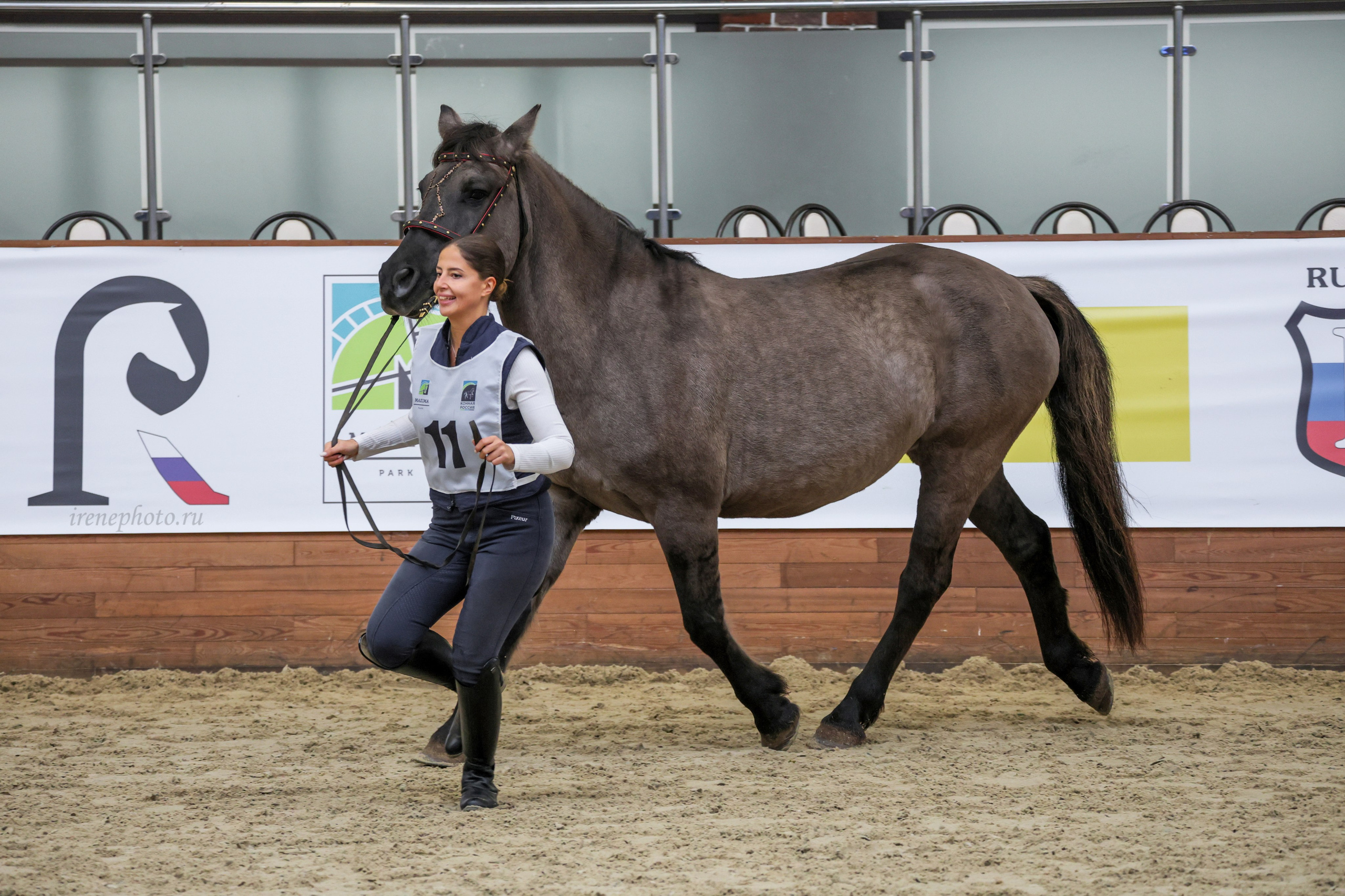 Конная Россия 2024. Irenephoto.ru