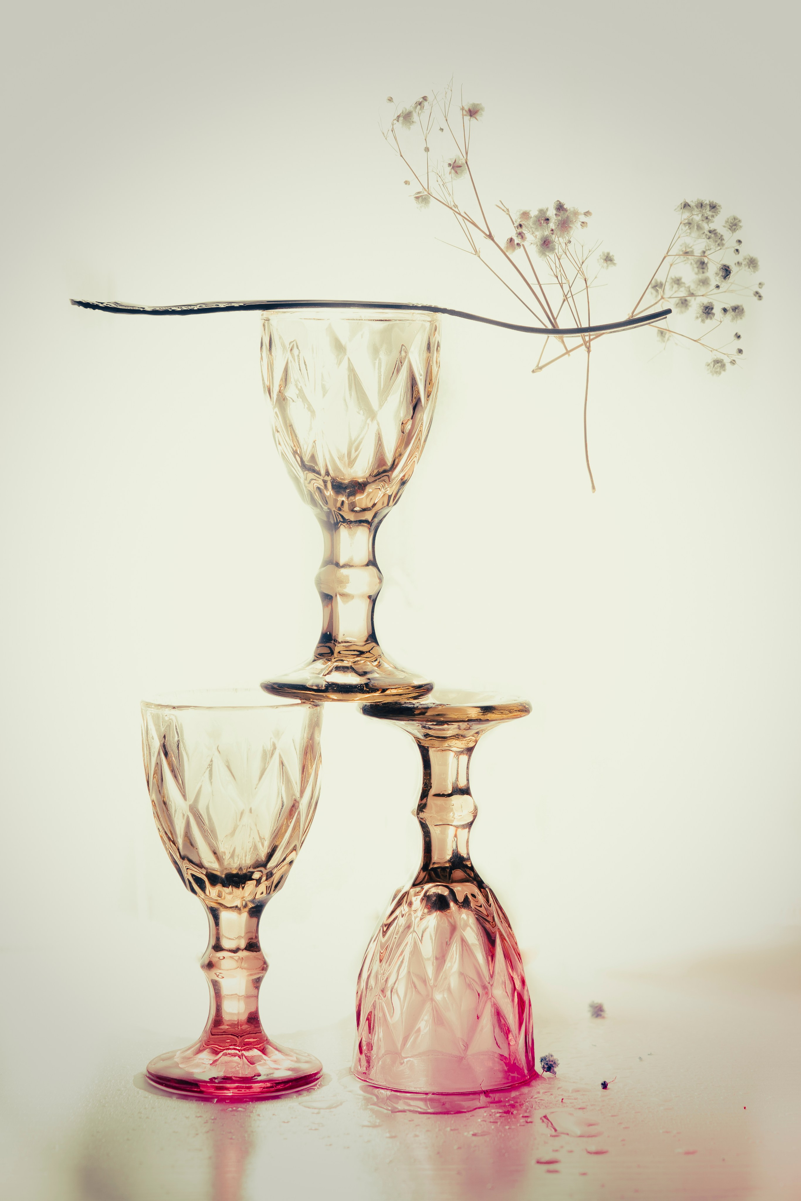 Натюрморты. Фотограф и оператор в Москве Елизавета Коргалидзе