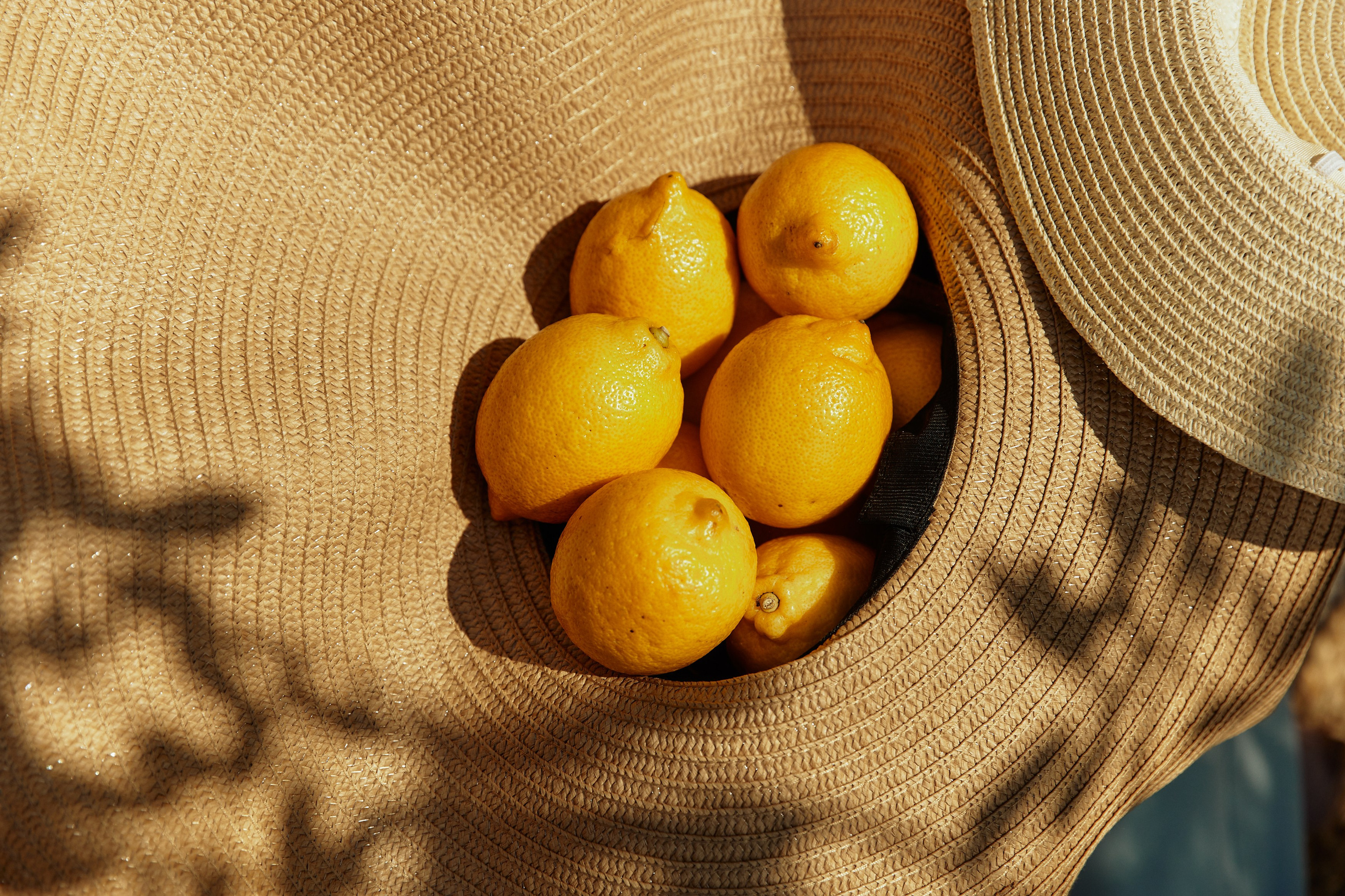 BG. Дмитрий Мазуркевич: Профессиональный Репортажный Фотограф