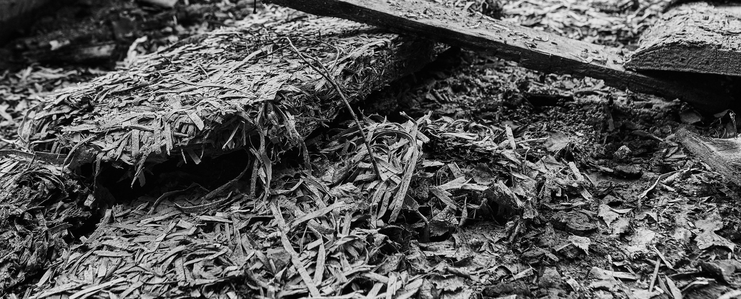 Бэкстейдж со съемок лукбука «Катарсис», дизайнер Анита Лескова. Александр Сазонов Красноярск