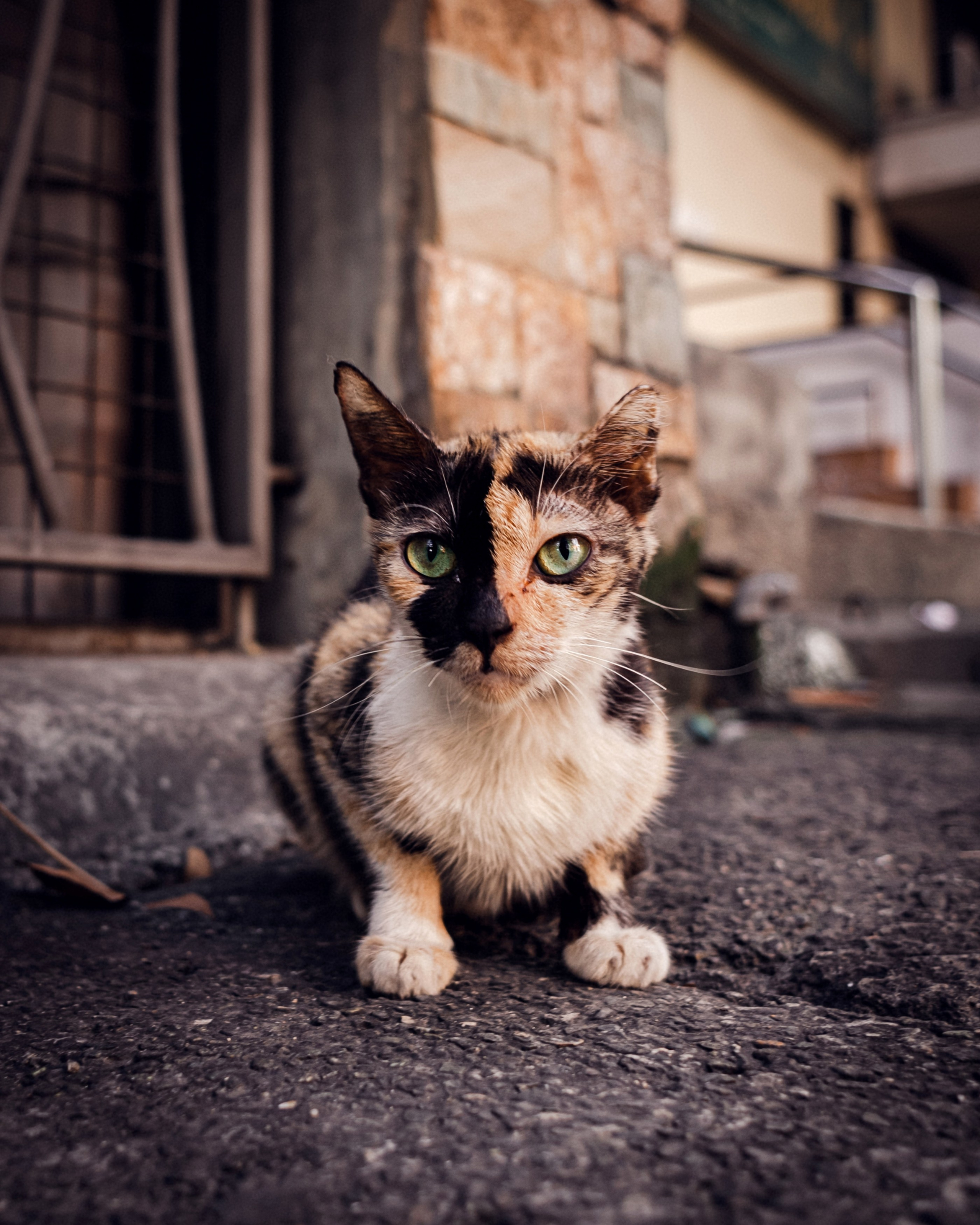 Philippines. Photographer in Tokyo Anatolii Ozarto