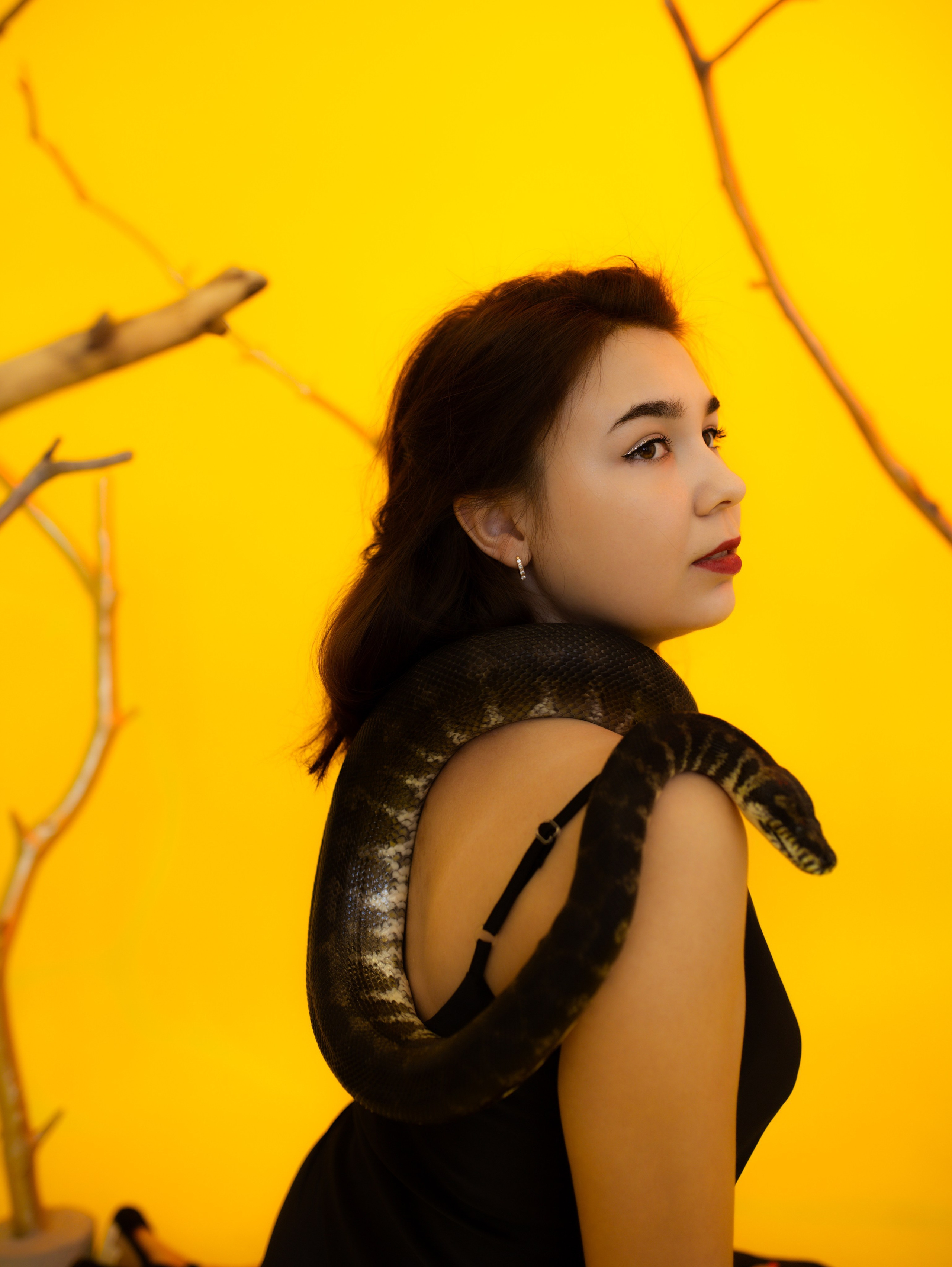 Фотосессии со змейкой. Свадебный и семейный фотограф Виолетта в Липецке