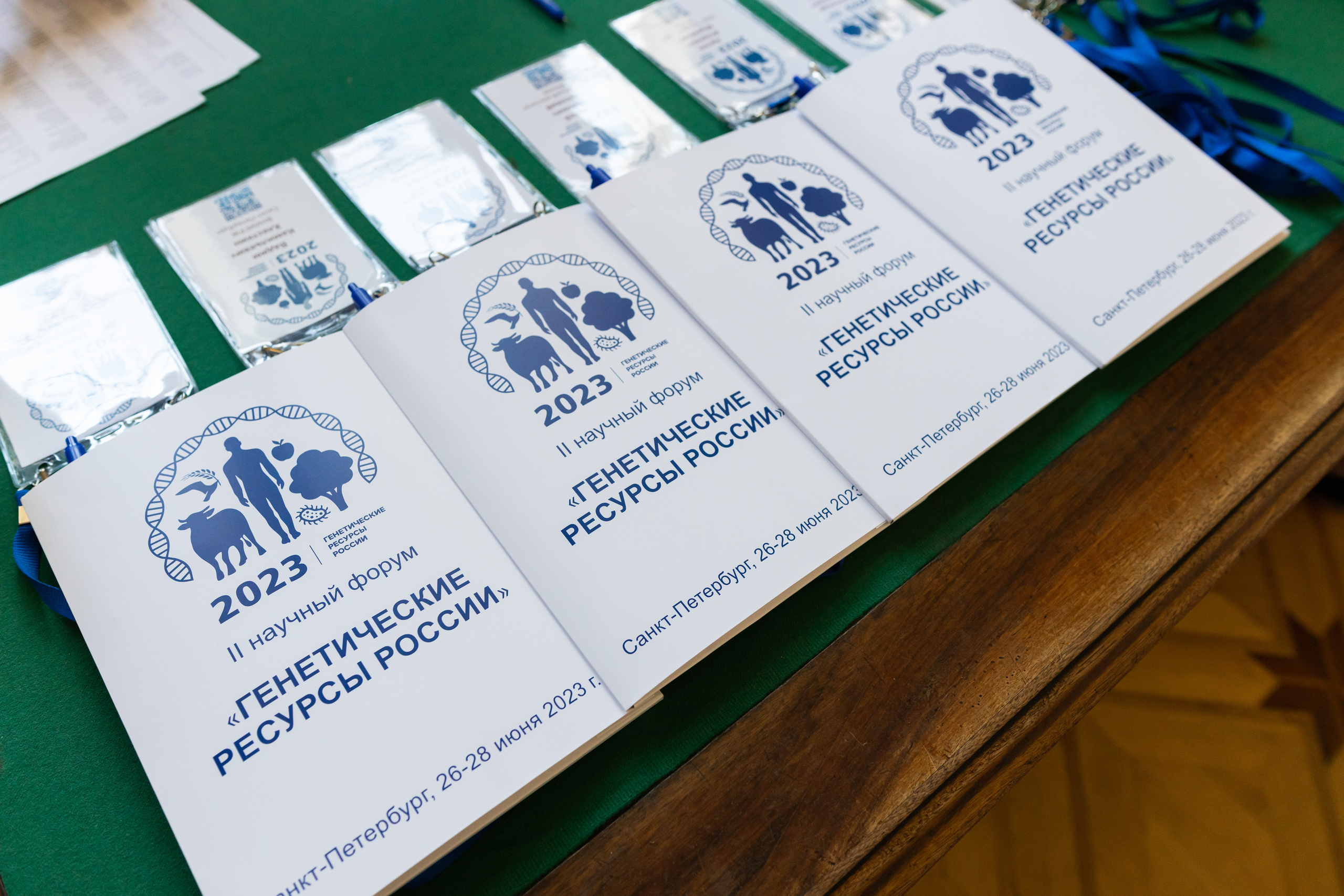 Портфолио фотограф Валерия Кочеткова Санкт-Петербург. Валерия Кочеткова фотограф в Санкт-Петербурге